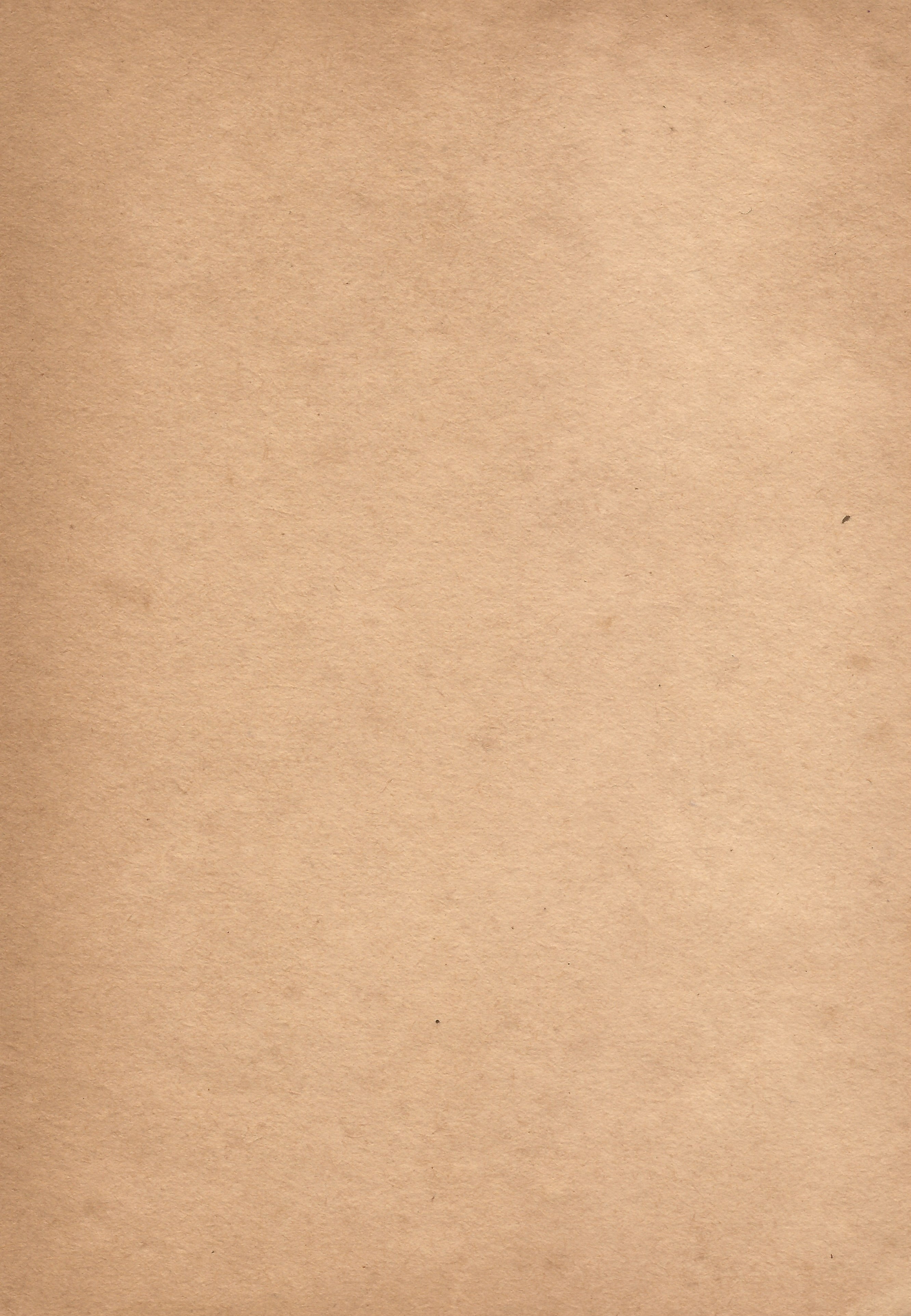 dirty, fiber, book, brown background, abstract, copy space, no people, texture, old, old sheet, close-up, backgrounds, document, brown, recycling, pattern, Phone HD Wallpaper