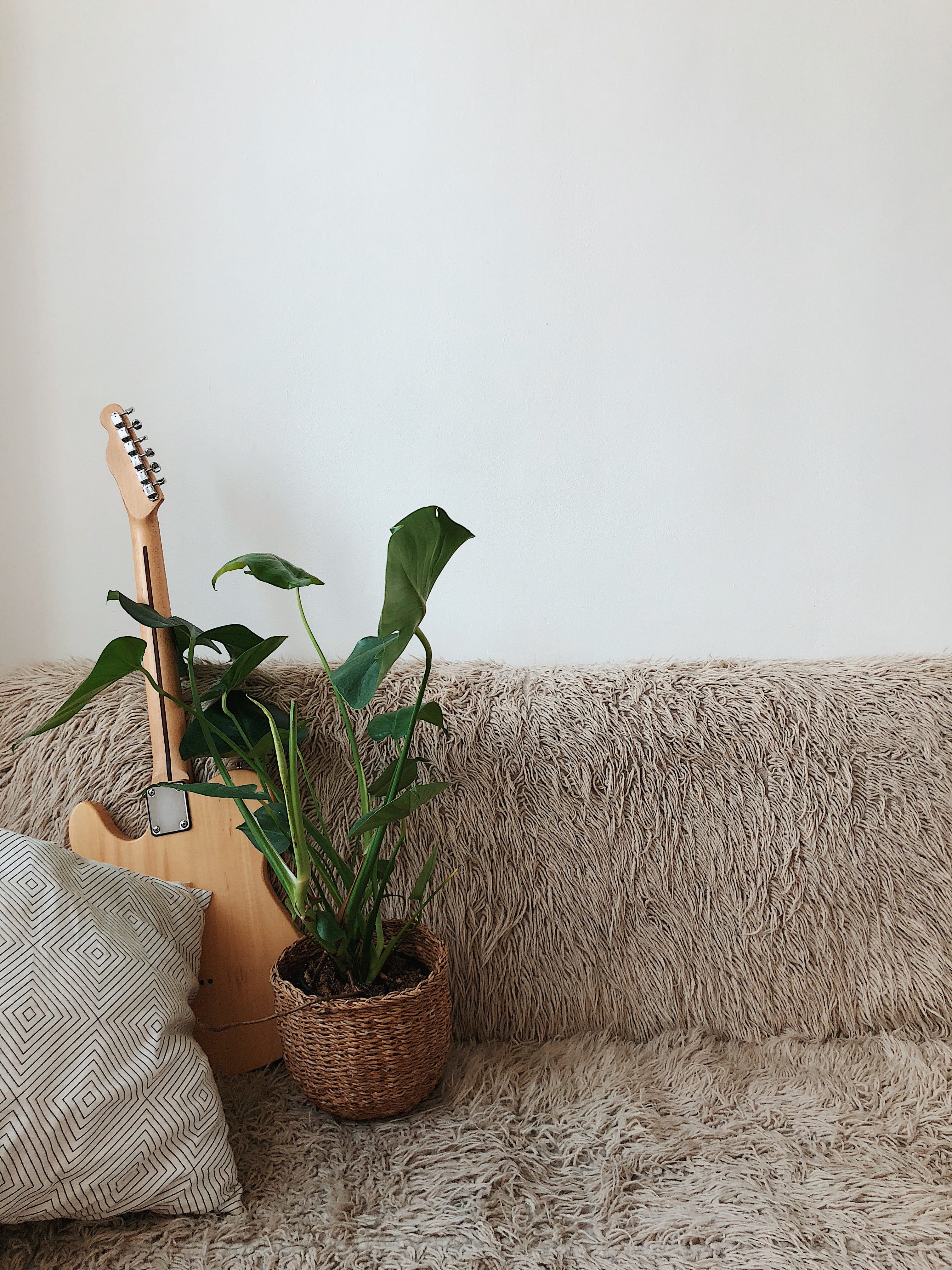 minimalism, copy space, beauty in nature, jute, indoors, wall - building feature, houseplant, close-up, green color, plant part, flat, sit, monstera, day, Phone HD Wallpaper