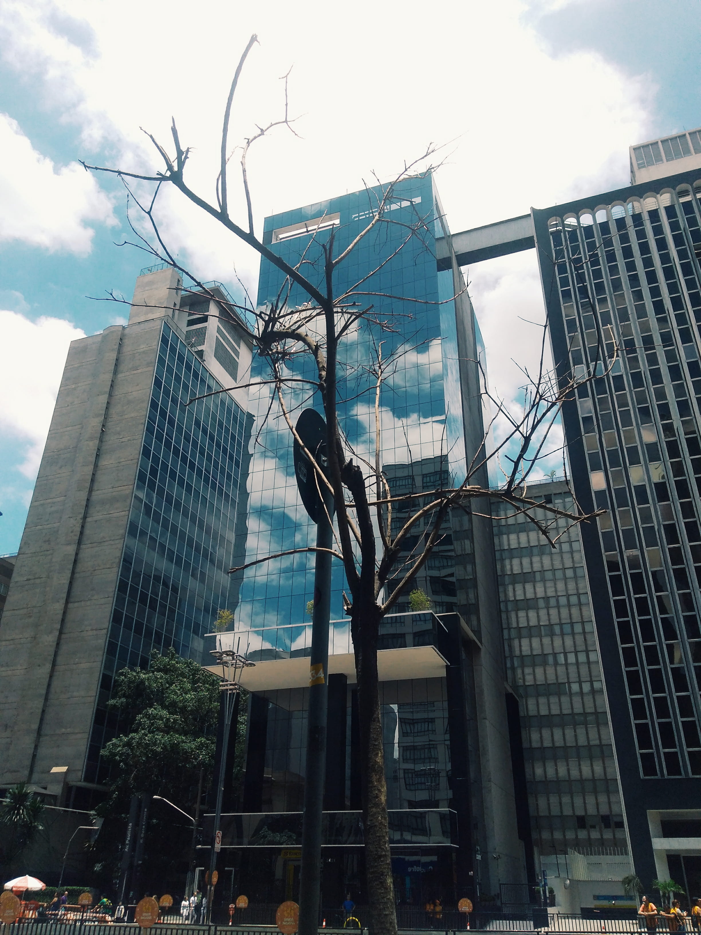 skyscraper, city life, nature, tower, day, sculpture, tall - high, background, office building exterior, architecture, sky, tree, cloud - sky, city, daylight, Phone HD Wallpaper