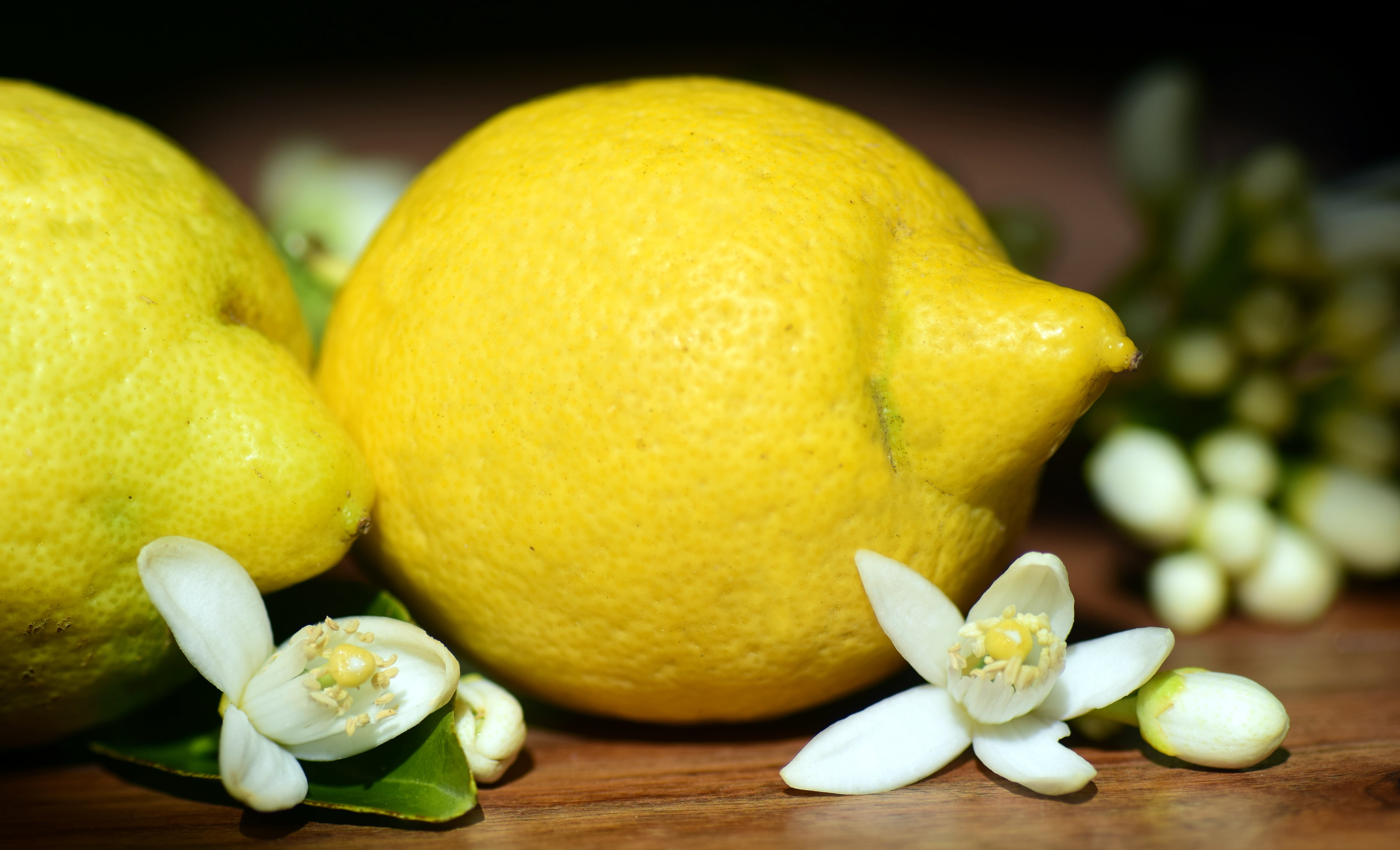 fragrance, orange, citrus fruit, lemon, fruit, day, plant, studio shot, cook, sour, spring, lemons, antioxidant, no people, food, table, leaf, mediterranean, HD Wallpaper