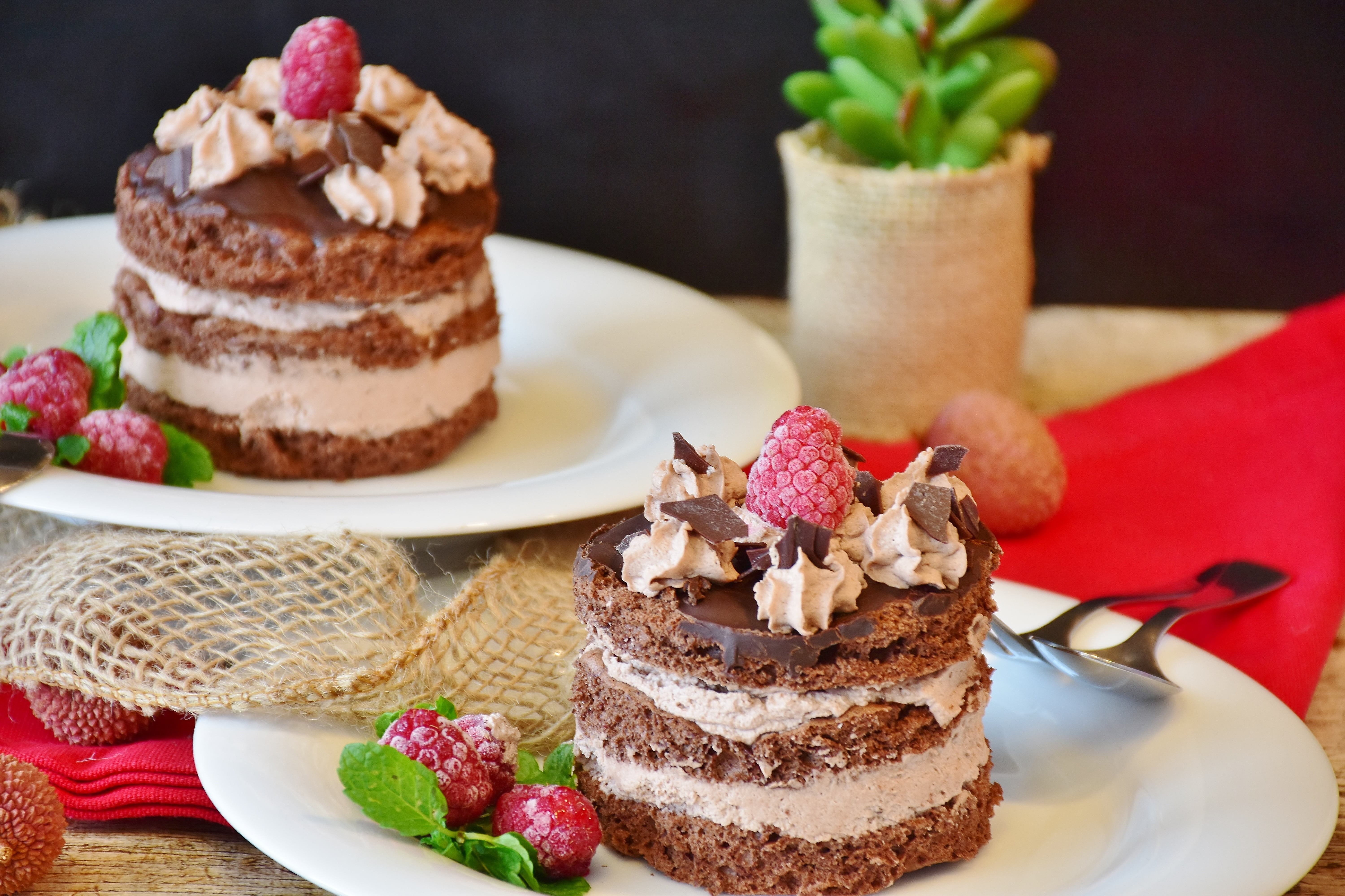 ready-to-eat, egg, delicious, milk, garnish, decorated, chocolate tarts, still life, fine pastry, ceramic, raspberry, flour, cream cake, plate, whipped cream, HD Wallpaper