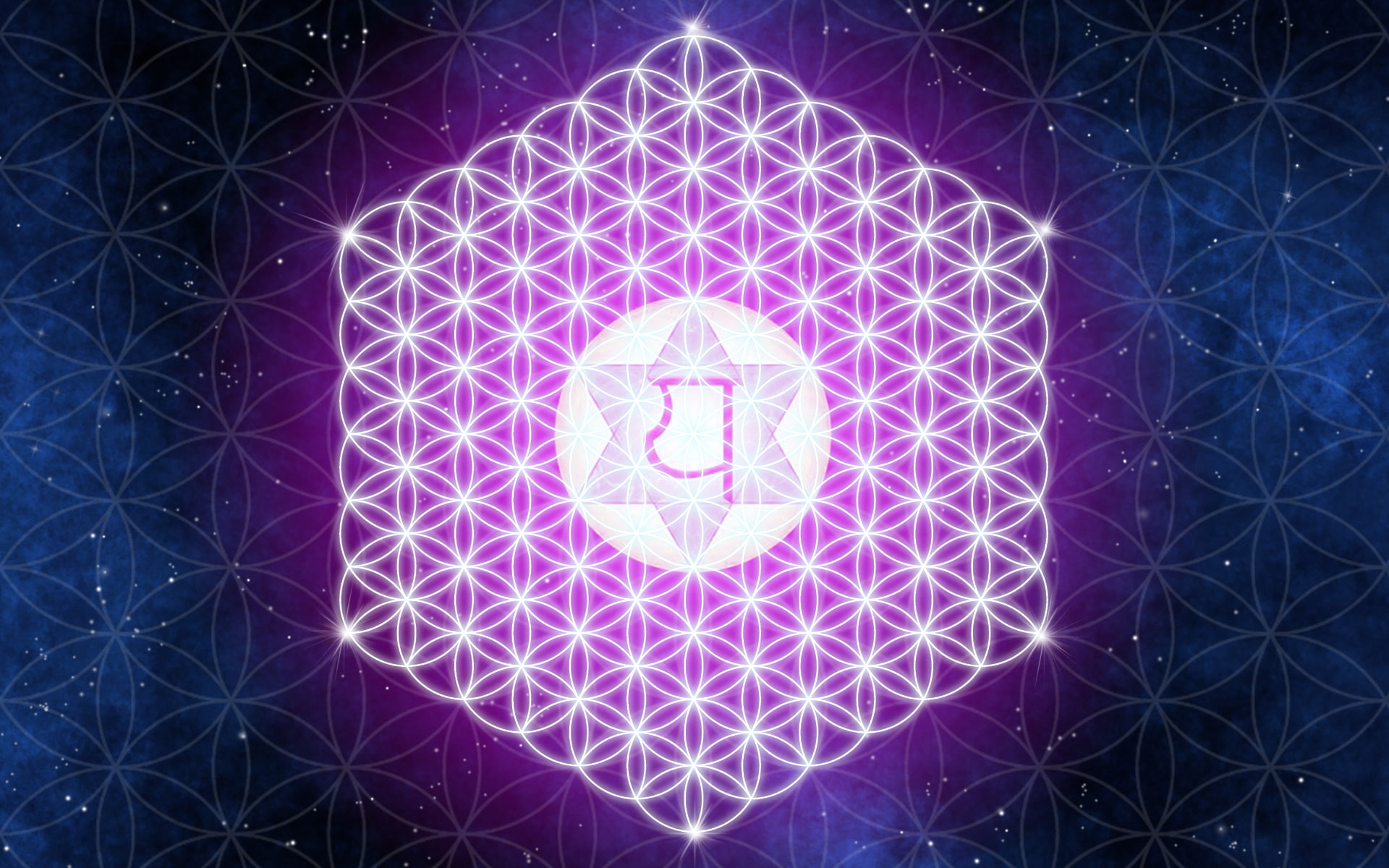life, geometry, flowers, digitalcomposition, purple, flower, space, blue, 1080P, HD Wallpaper