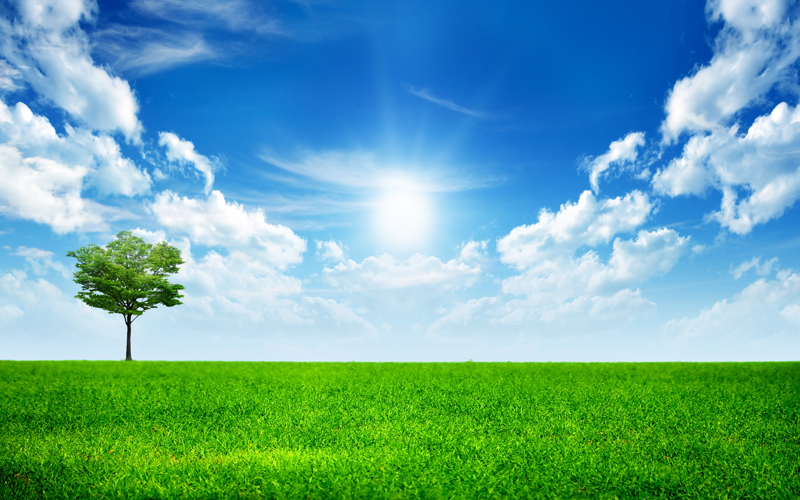 alone, thesun, clouds, grass, fields, world, 2K, green, sky, blue, landscape, digitalcomposition, trees, HD Wallpaper