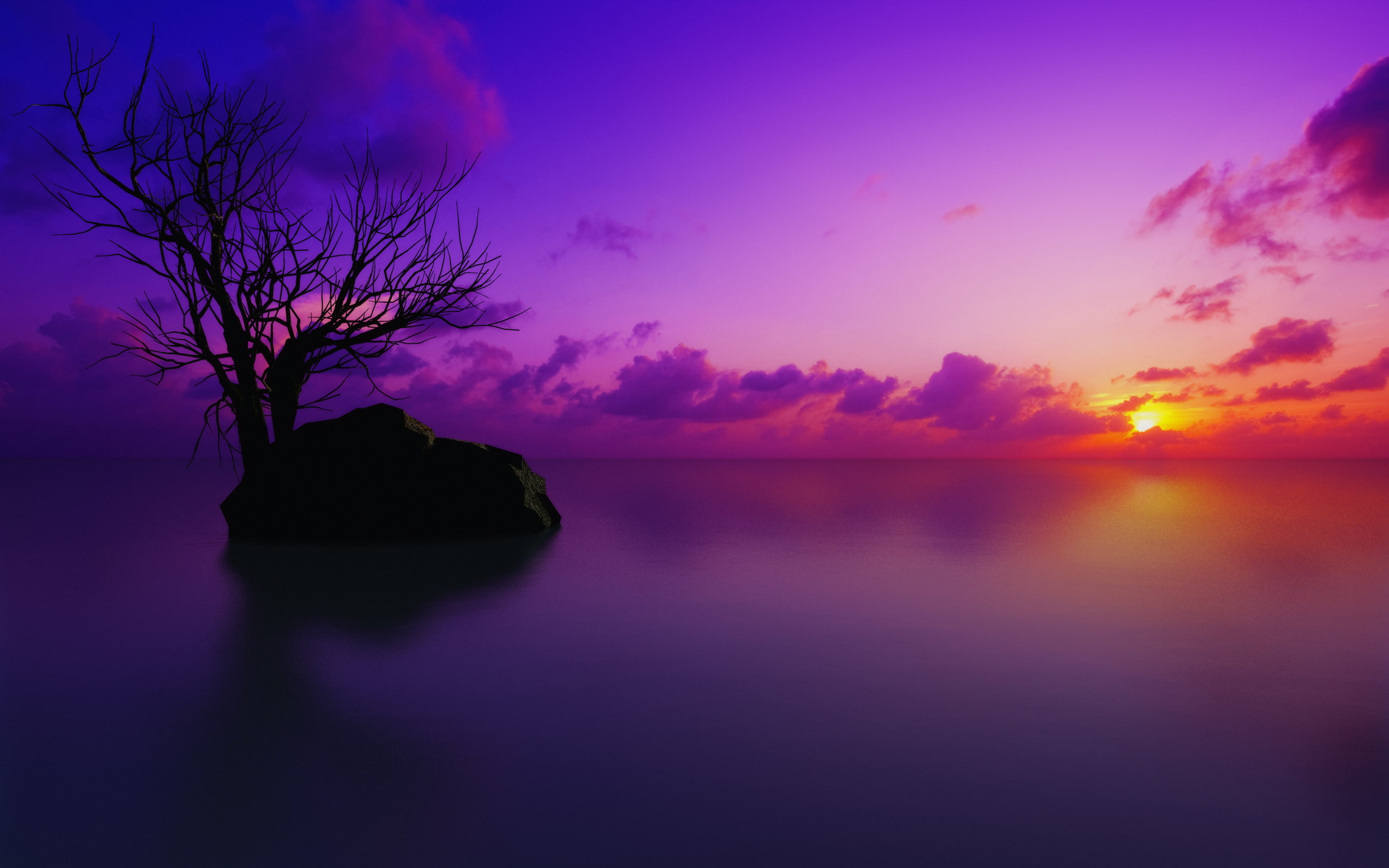 clouds, sunset, purple, water, ocean, 2K, maldivian, thesun, maldives, sky, digitalcomposition, silhouette, digitalrendering, HD Wallpaper