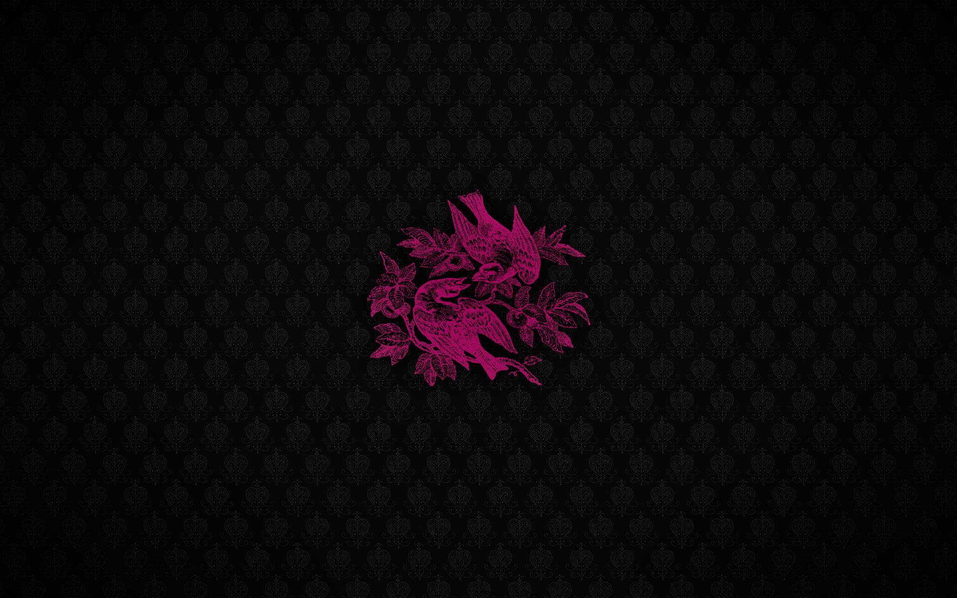 abstract, studio shot, flower head, 1080P, black background, pink, copy space, no people, pattern, flower, design, indoors, close-up, cut out, art and craft, HD Wallpaper