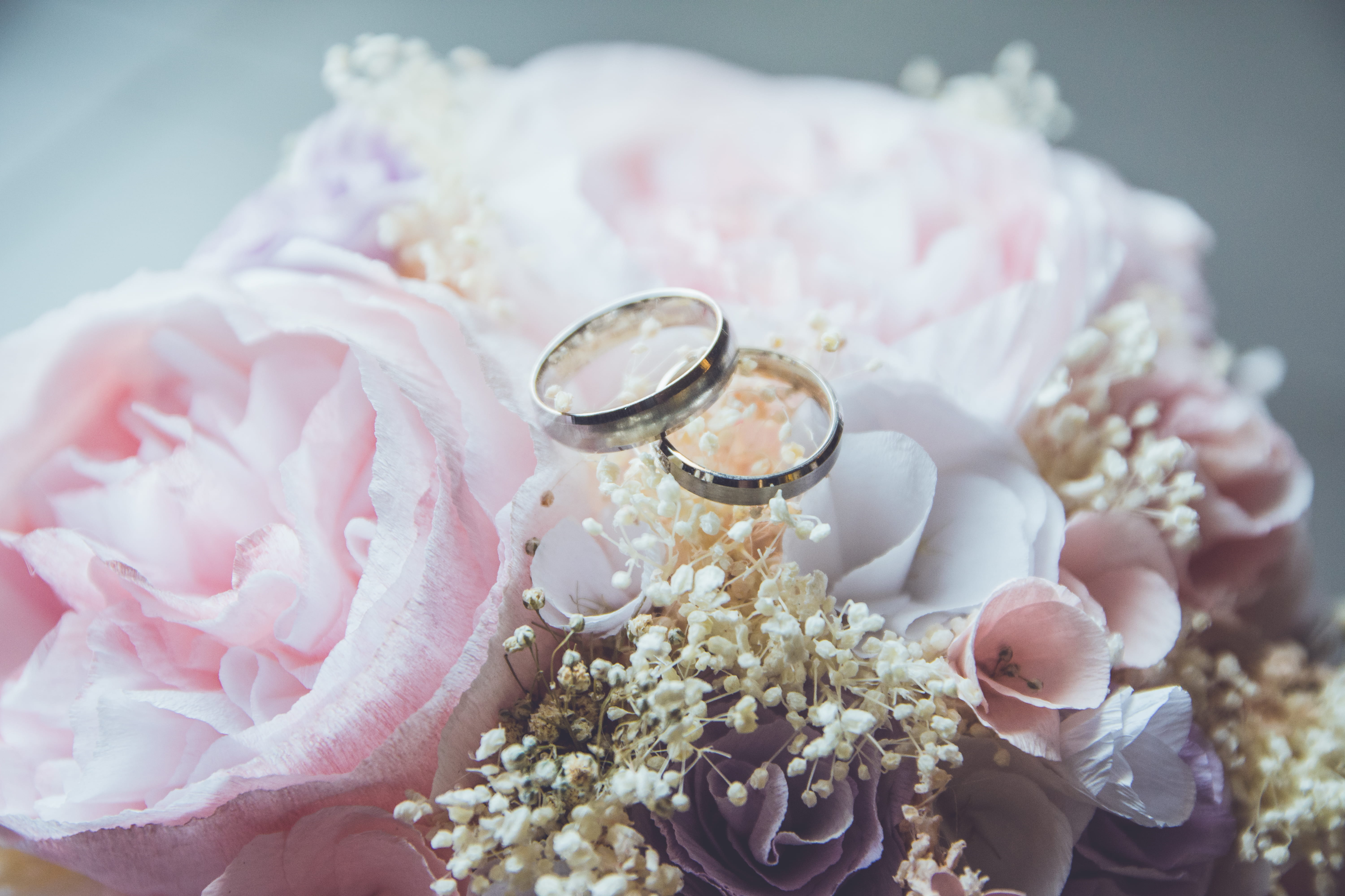 wedding, focus, pink color, pink, beauty in nature, indoors, event, positive emotion, luxury, couple, platinum, flowering plant, jewelry, colored, nature, HD Wallpaper