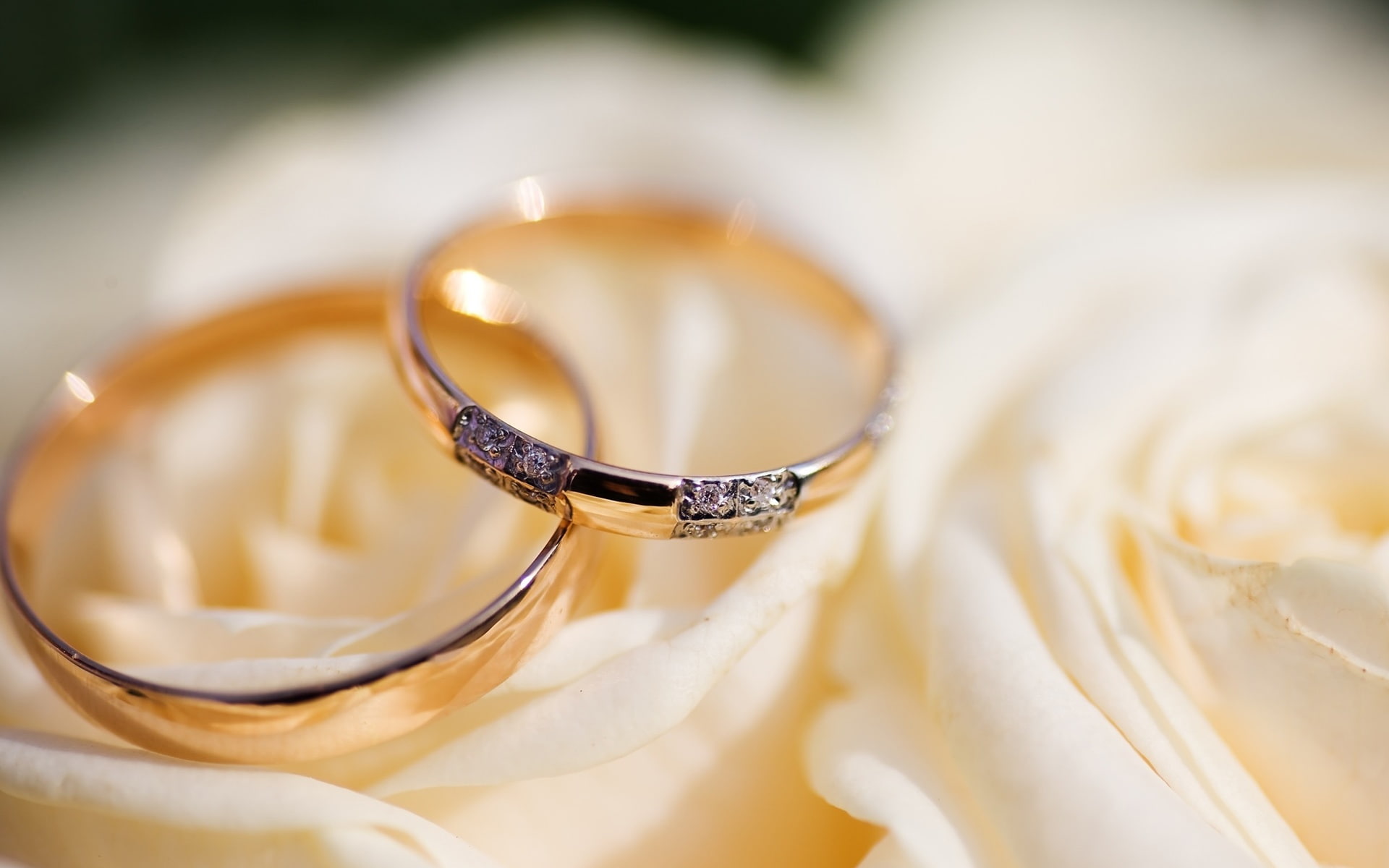 Wedding, 1080P, Rings, HD Wallpaper