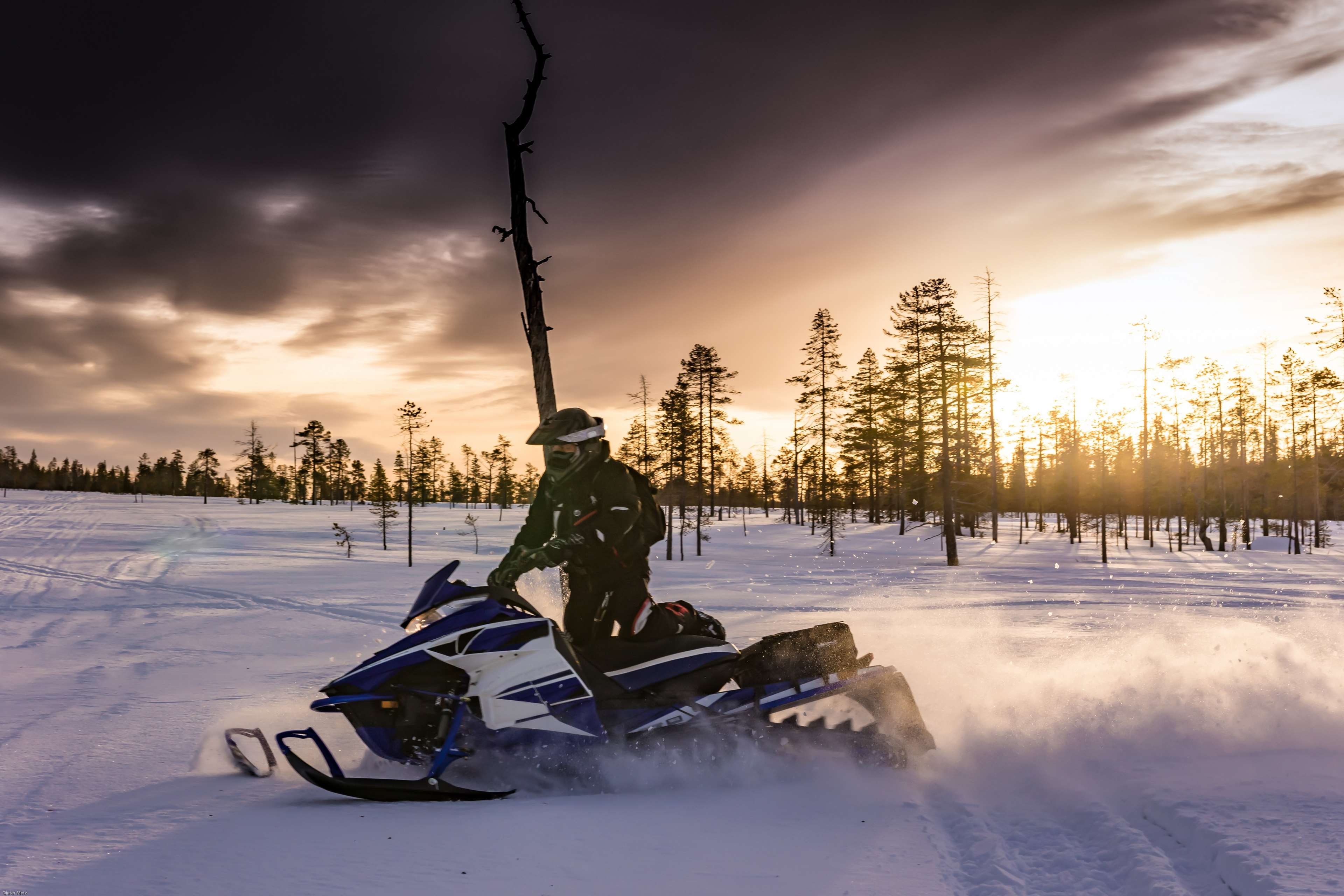 snowmobile, lens flare, tree, sports equipment, lapland, winter sports, cold temperature, adventure, snow vehicle, recreational pursuit, sweden, extreme sports, HD Wallpaper