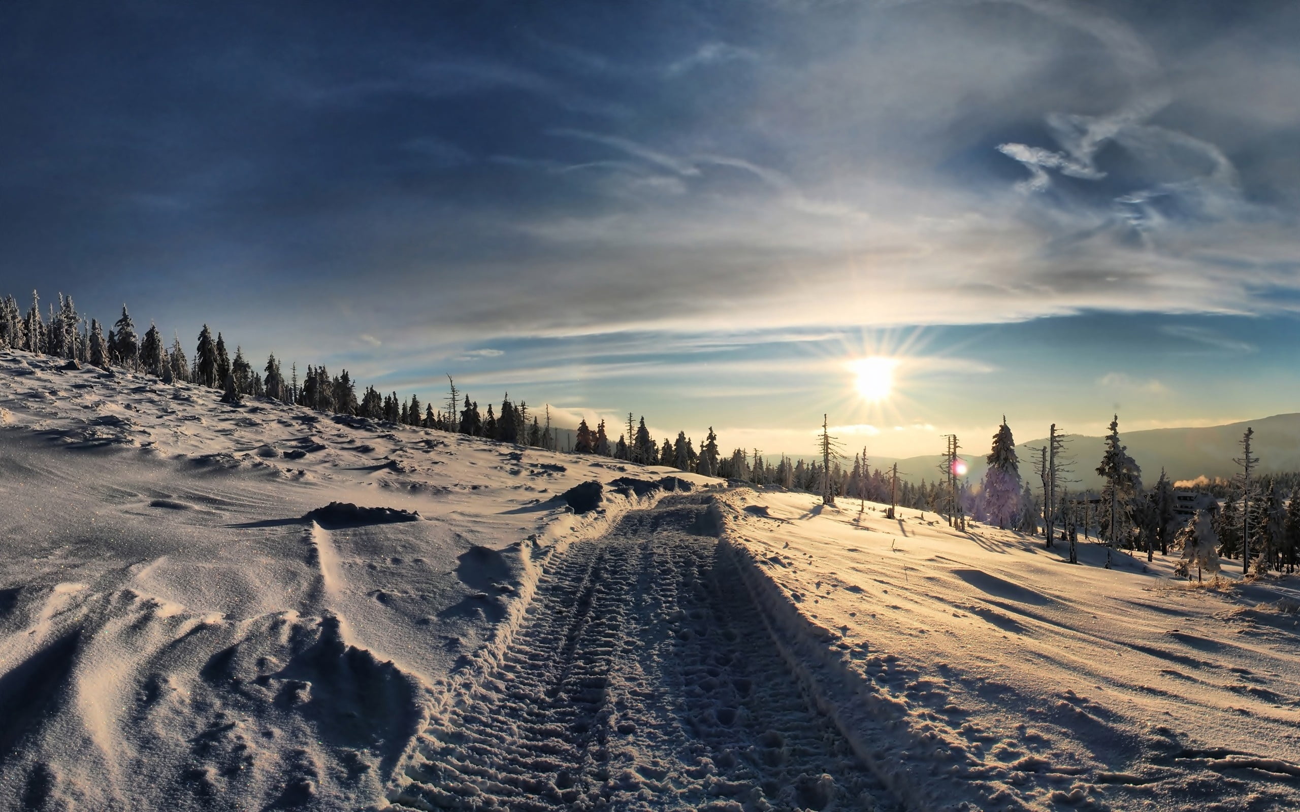 backgrounds, snow, christmas, sunset, frost, no People, vacations, land, hour, cold temperature, landscape, road, forest, frozen, sunrise - Dawn, outdoors, HD Wallpaper