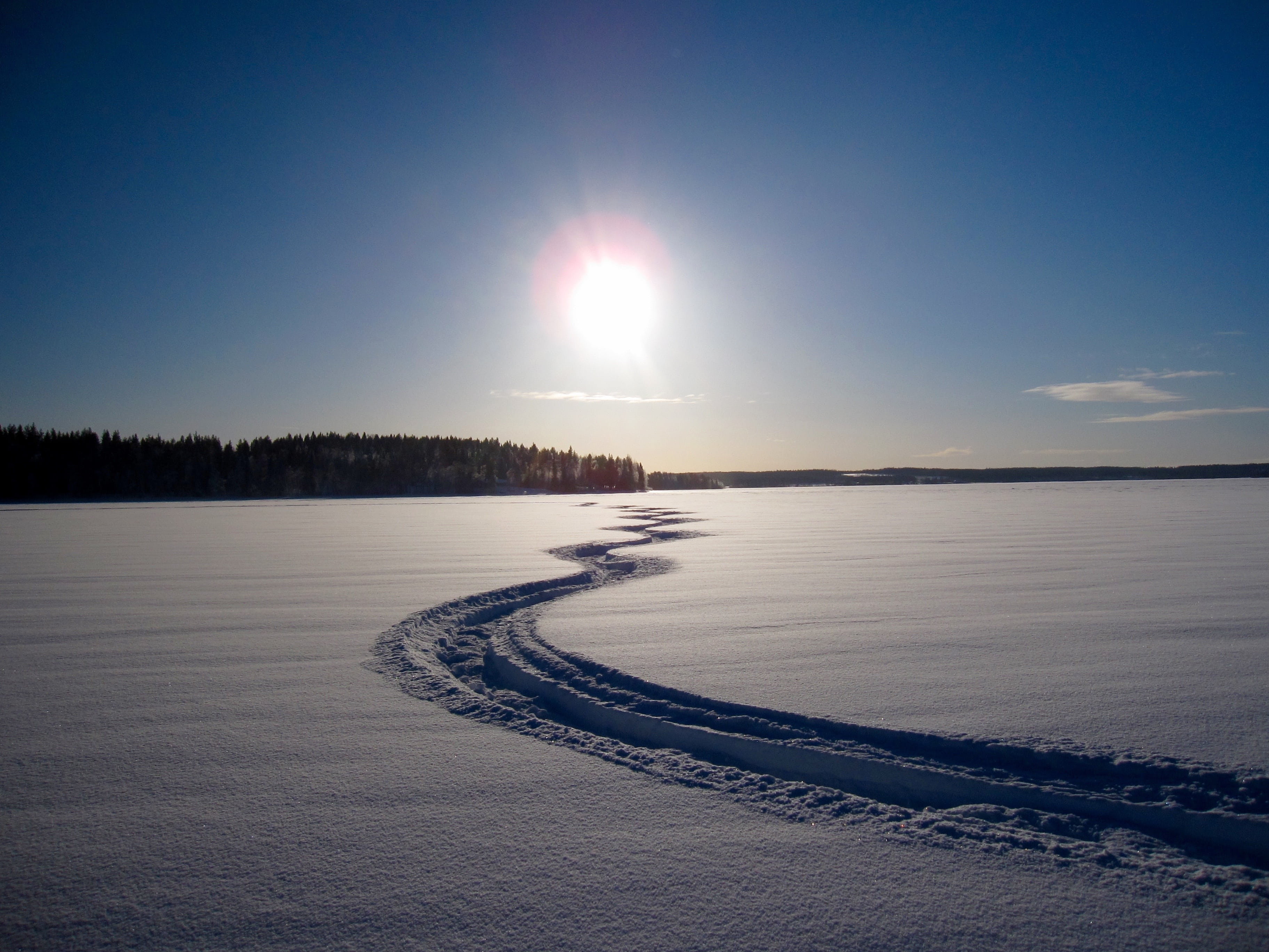 environment, commodity swamp, scenics - nature, beauty in nature, blue, cold temperature, snow, tranquility, backe, sky, scenics, nature, bright, sunlight, HD Wallpaper