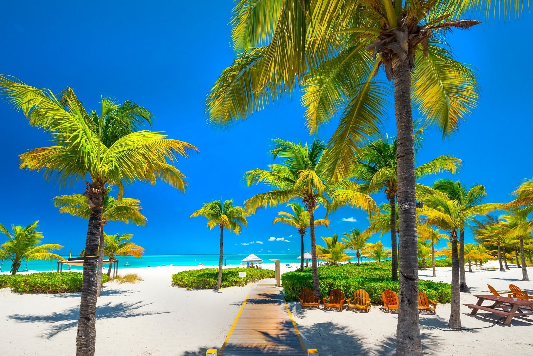 blue, Palm Trees, sky, Chair, nature, Caribbean, Walkway, Turks and Caicos, landscape, sand, beach, white, 720P, sea, tropical, HD Wallpaper