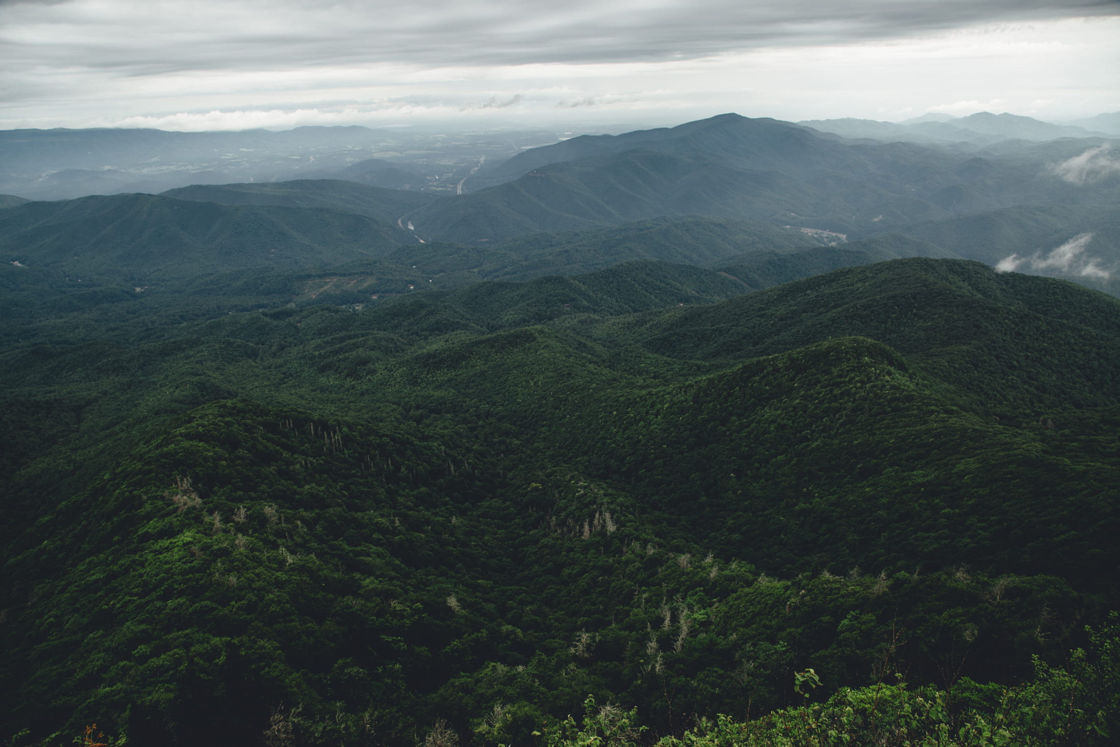 no people, mountain range, road trip, lush foliage, love, ridge, foliage, road, mountain, landscape, roadtrip, overcast, mountains, tree, mountaineer, green, HD Wallpaper