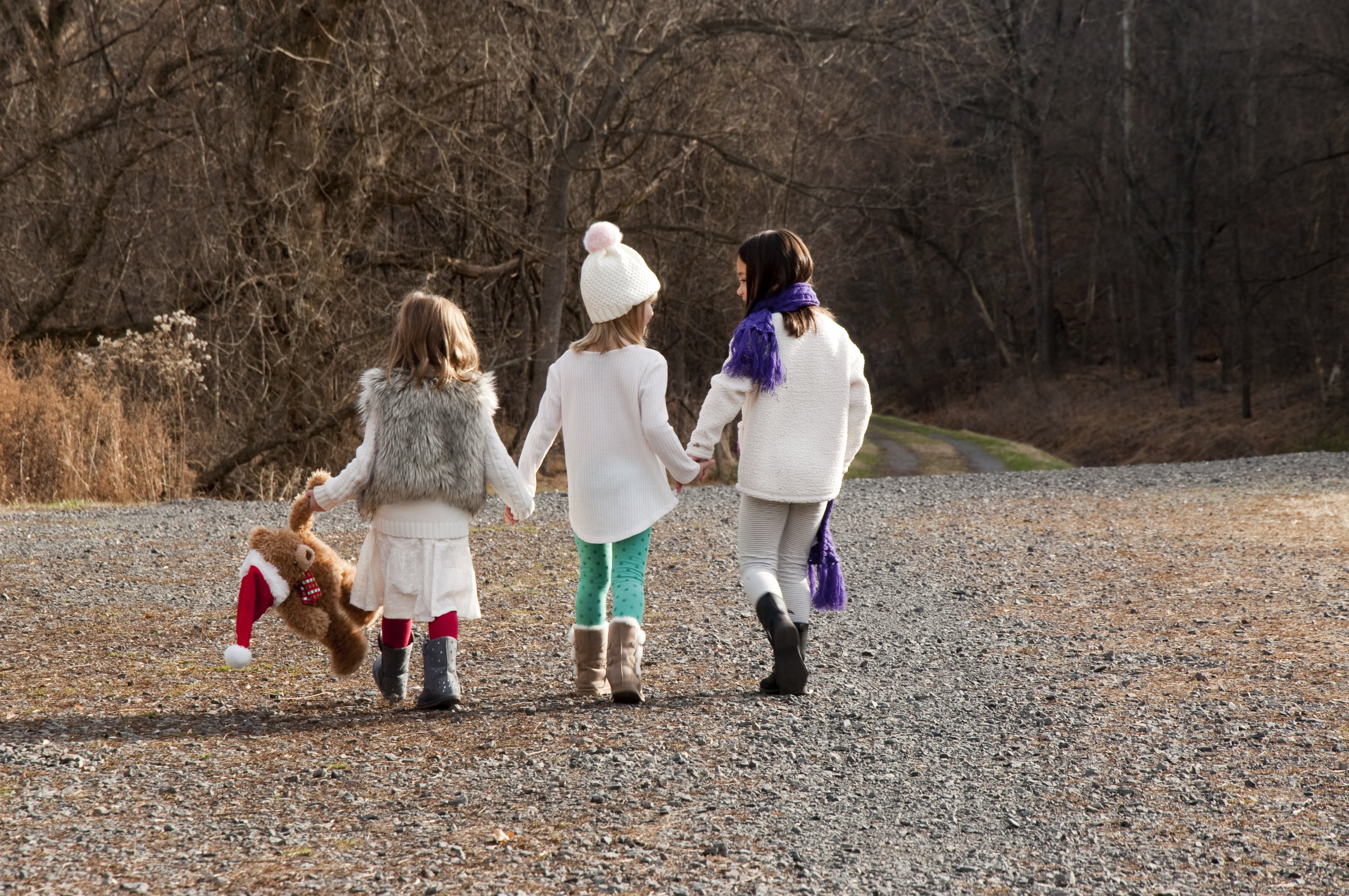 girl, rear view, group of people, outdoors, together, sisters, boys, nature, women, childhood, girls, family, friendship, full length, merry, bonding, males, HD Wallpaper