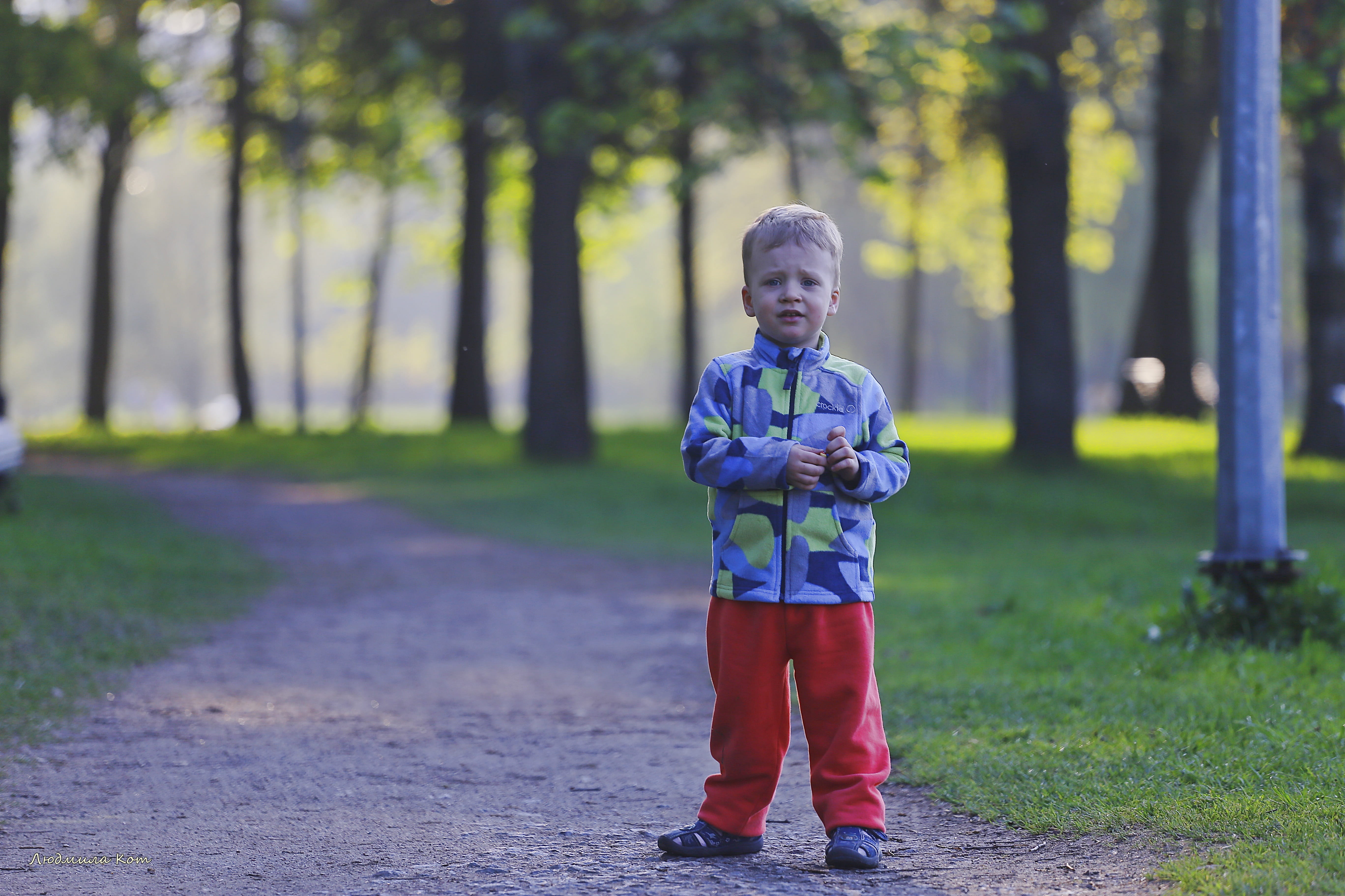people, plant, cute, child, in the summer of, childhood, 5K, men, nikitakos, real people, joy, family, land, kid, leisure activity, day, charming, males, HD Wallpaper