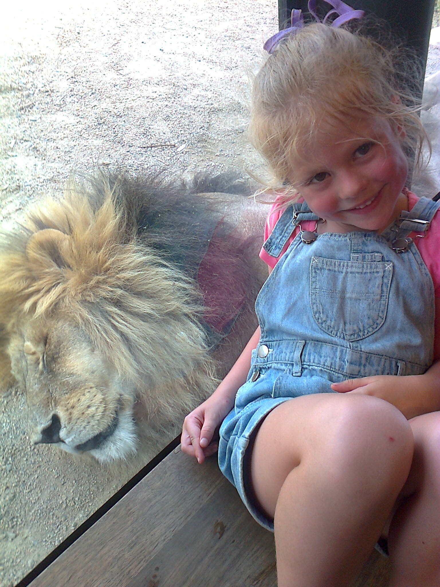 innocence, wildlife, care, fun, love, wild, vertebrate, feed, girls, one person, Girl, Child, Lion, dog, park, friendship, Childhood, pets, children only, Phone HD Wallpaper