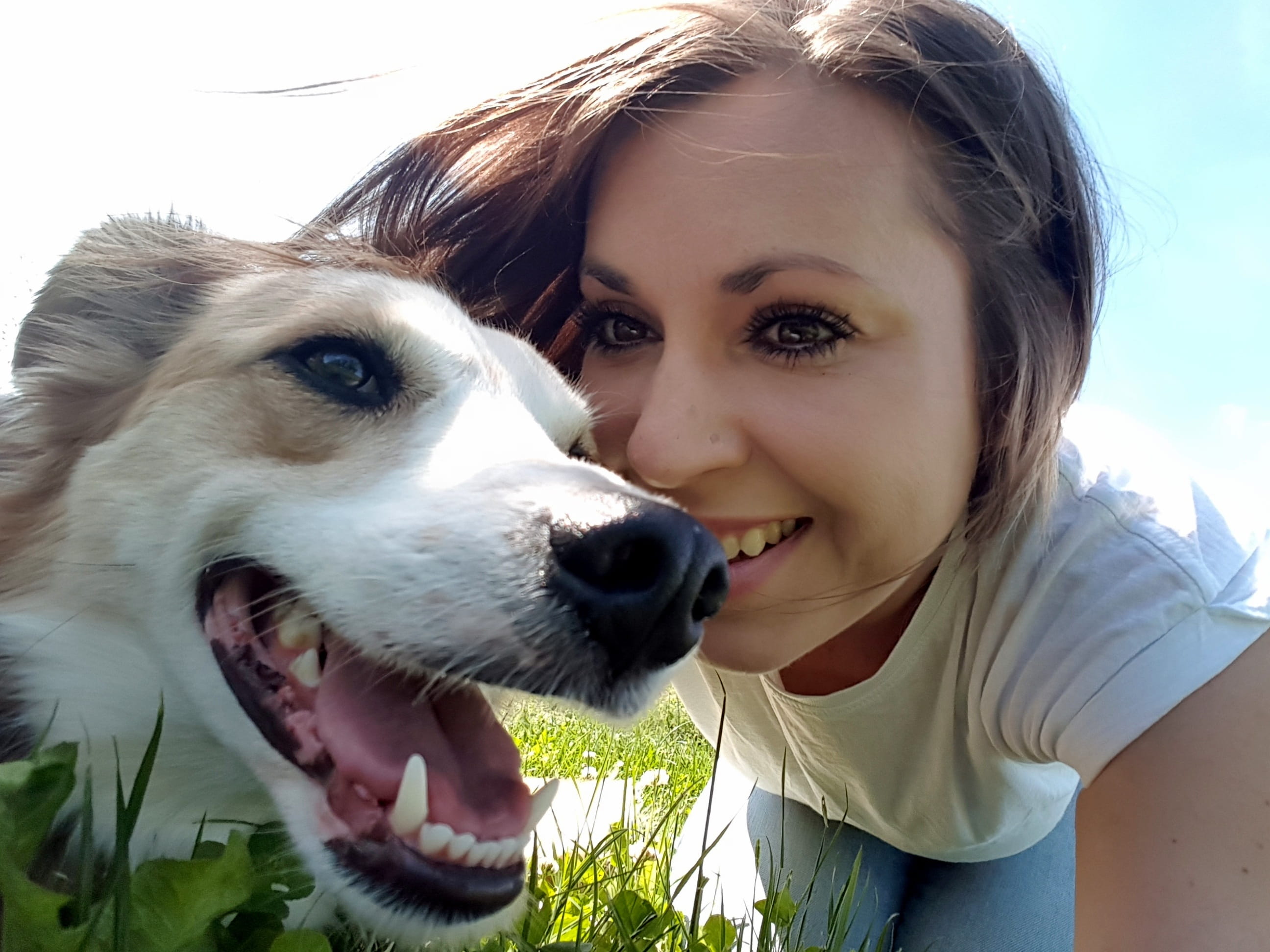 lifestyles, young Women, Pet Photography, one Person, animal, smiling, cute, real people, portrait, outdoors, women, Dog, beautiful, domestic animals, beauty, HD Wallpaper