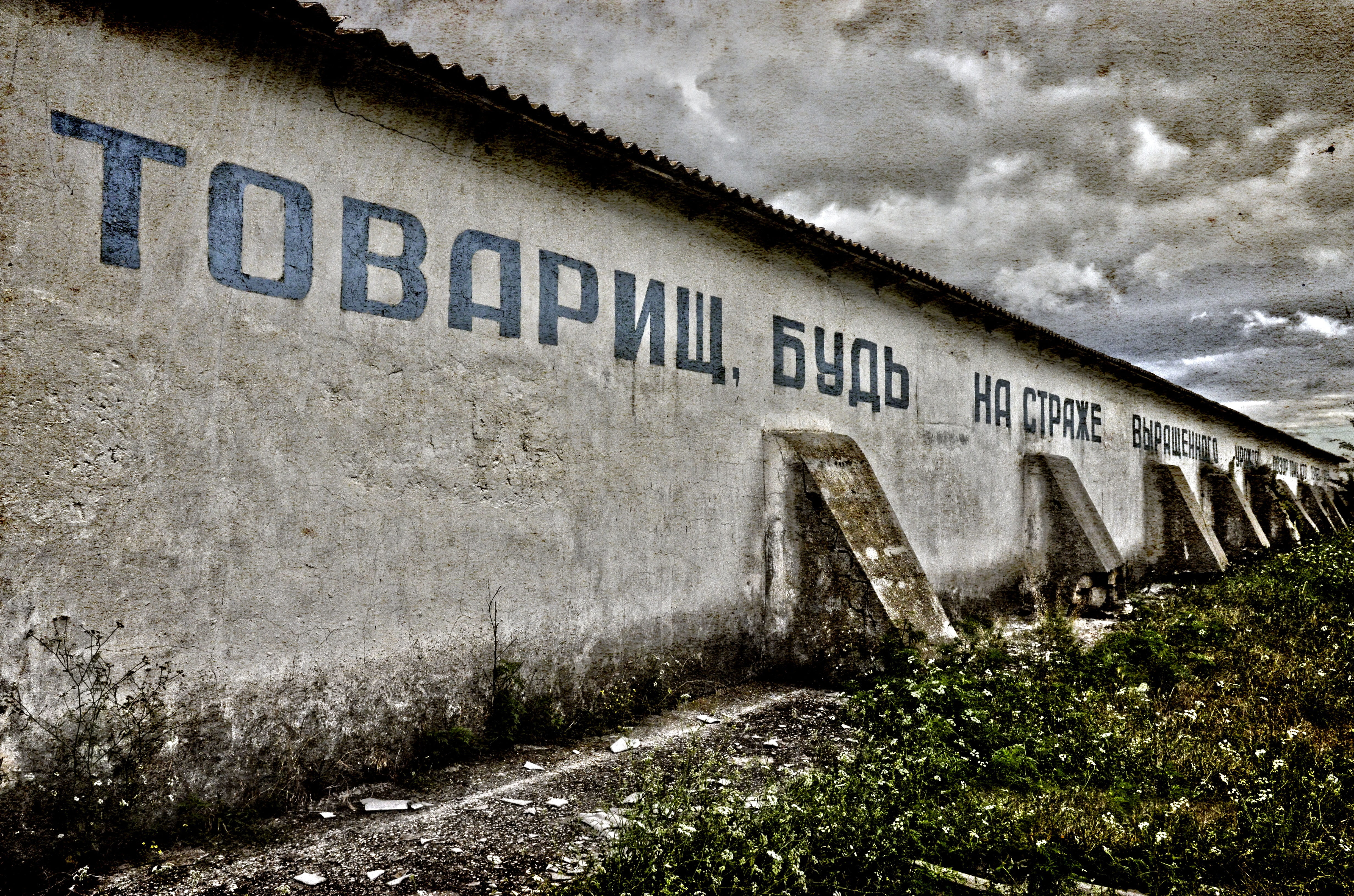 wall - building feature, cloud - sky, text, the slogan, no people, abandoned, sign, western script, 4K, building exterior, built structure, plant, weathered, HD Wallpaper
