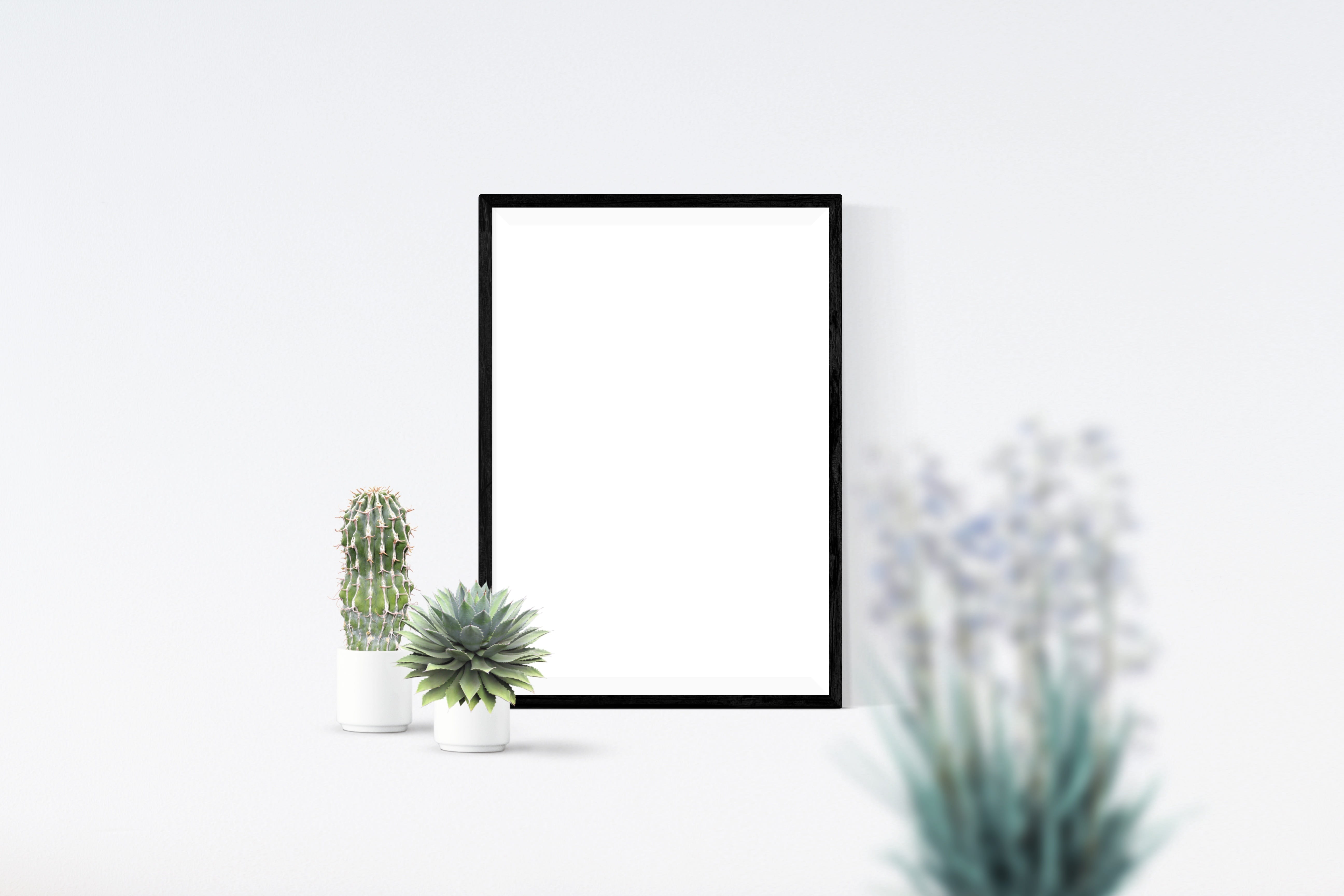 wall, flower head, studio shot, leafed, desk, 5K, nature, decor, growth, poster, houseplant, plant, beauty in nature, interior, simplicity, mock, pots, HD Wallpaper