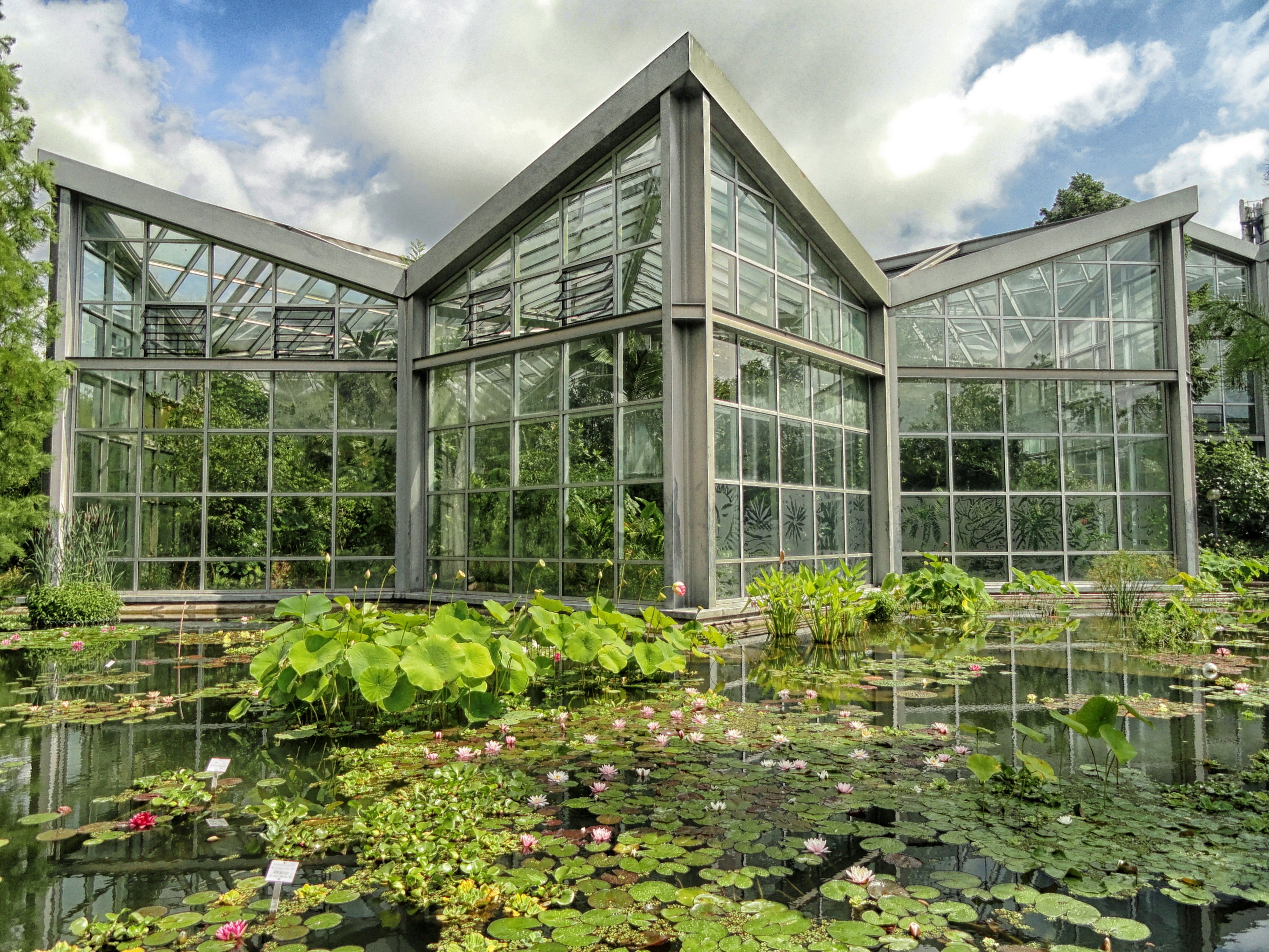 building, reflections, botanical garden, plant, growth, sky, leaf, outdoors, effect, 4K, built structure, clouds, water, nature, gray, lily pads, reflection, HD Wallpaper