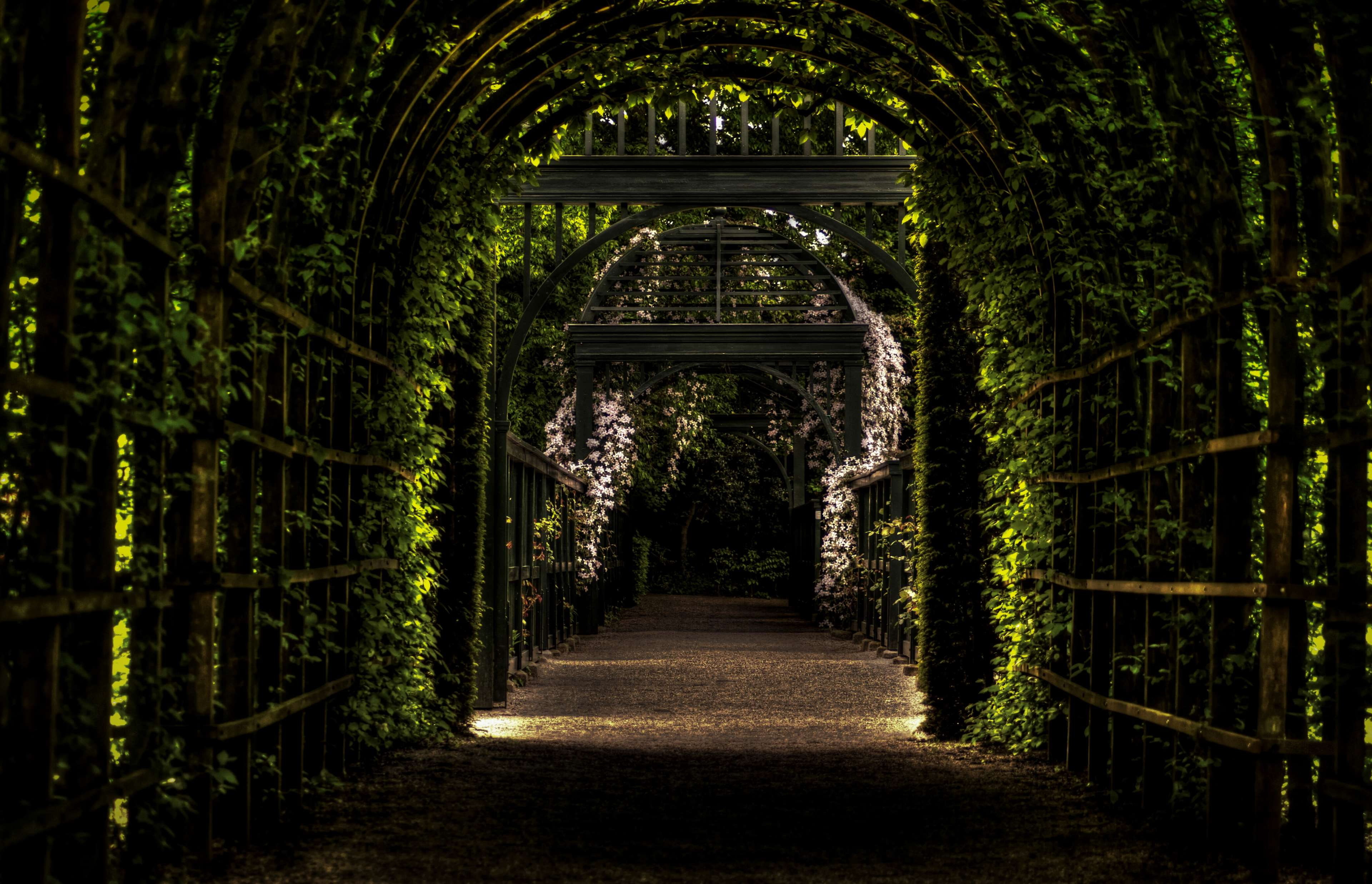 botanic gardens, 4K, nature, flowers, leaves, trees, Netherlands, arch, wood, path, tunnel, grid, branch, HD Wallpaper