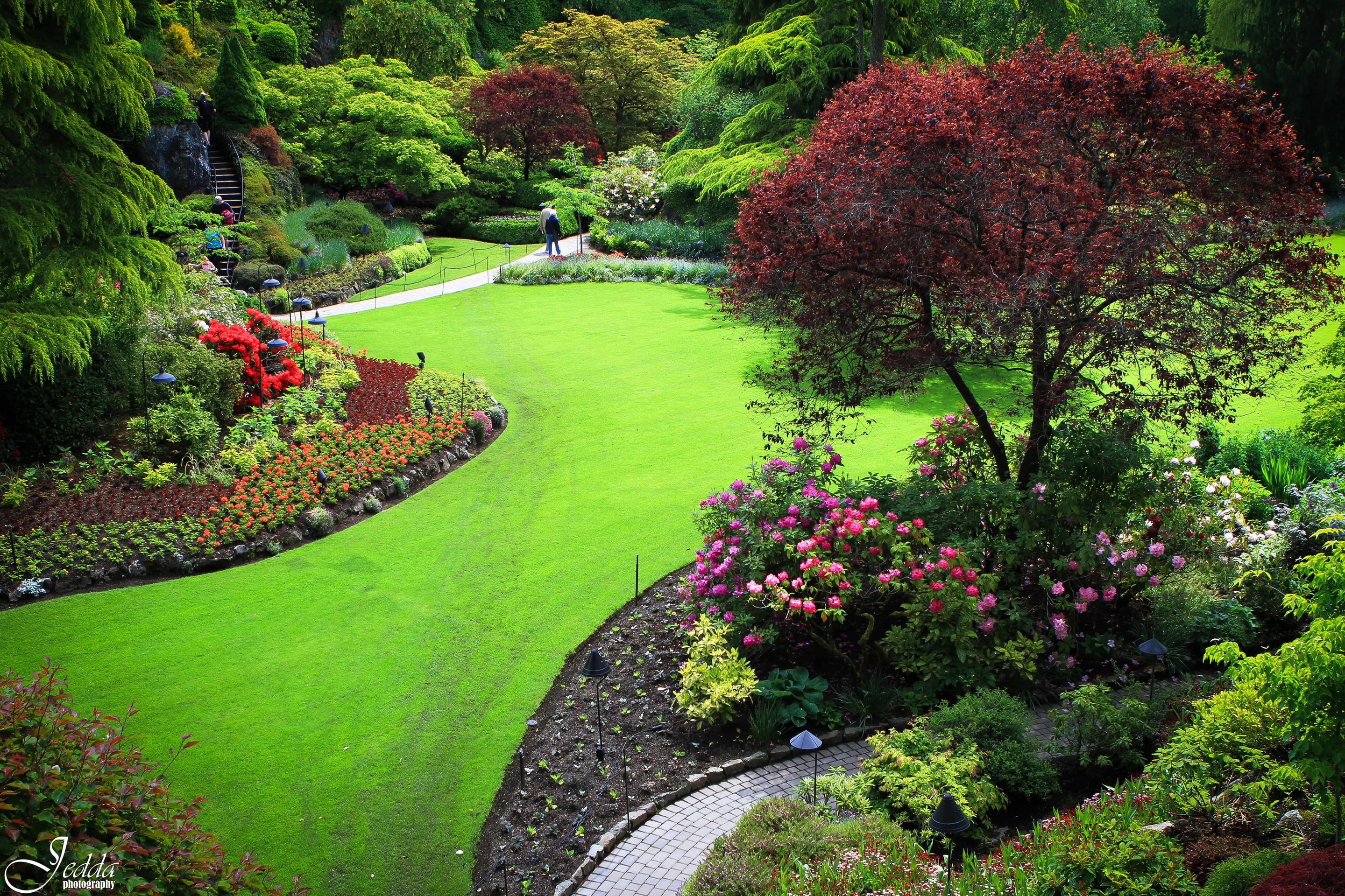 garden, high angle view, formal Garden, bush, flower, tree, leaf, landscaped, Park, footpath, tranquility, plant, garden path, gardening, people, scenics - nature, HD Wallpaper