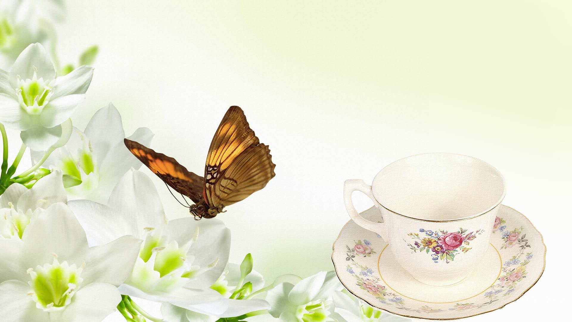 elegance, firefox persona, butterfly, lily, 1080P, floral, white, flowers, 3d and abstract, coffee, HD Wallpaper
