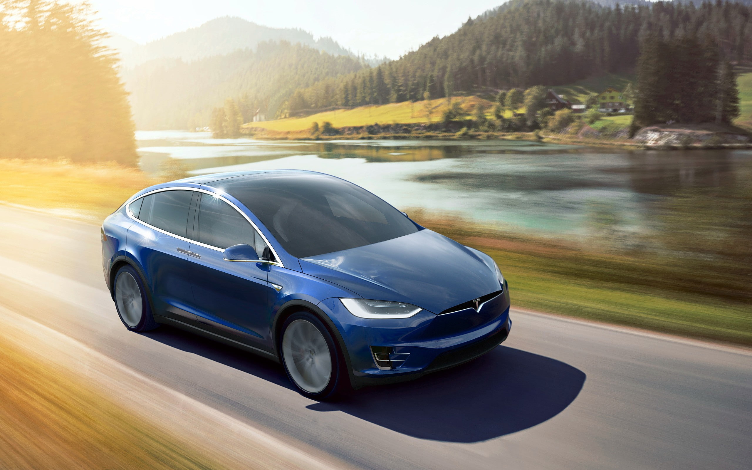 day, motion, plant, road, mode of transportation, speed, wheel, outdoors, blurred motion, car, reflection, land vehicle, travel, tree, 2K, Tesla Model X, HD Wallpaper