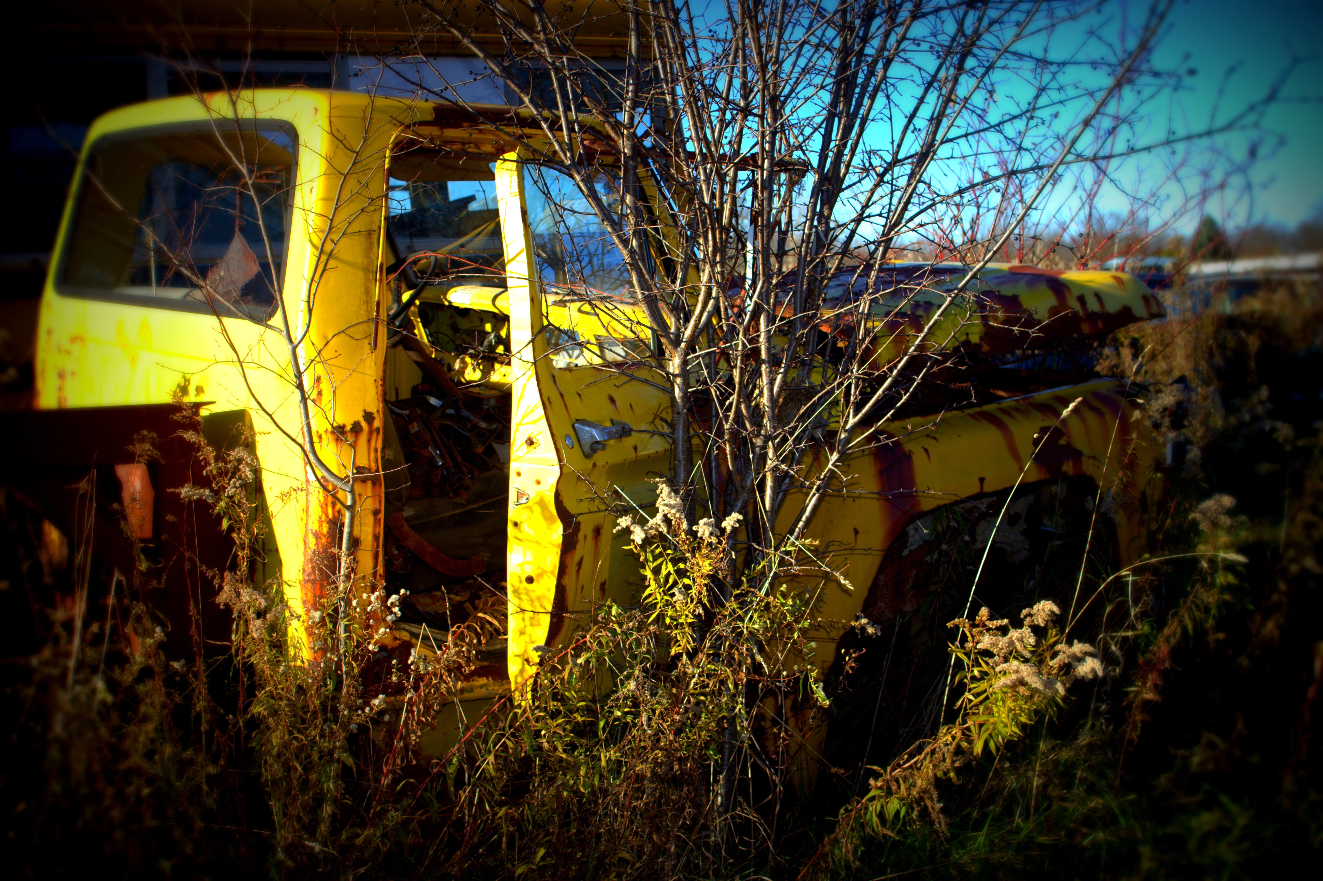 outdoors, mode of transportation, obsolete, transportation, car, red, built structure, metal, rusty, tree, broken, vintage, old, no people, plant, rust, HD Wallpaper