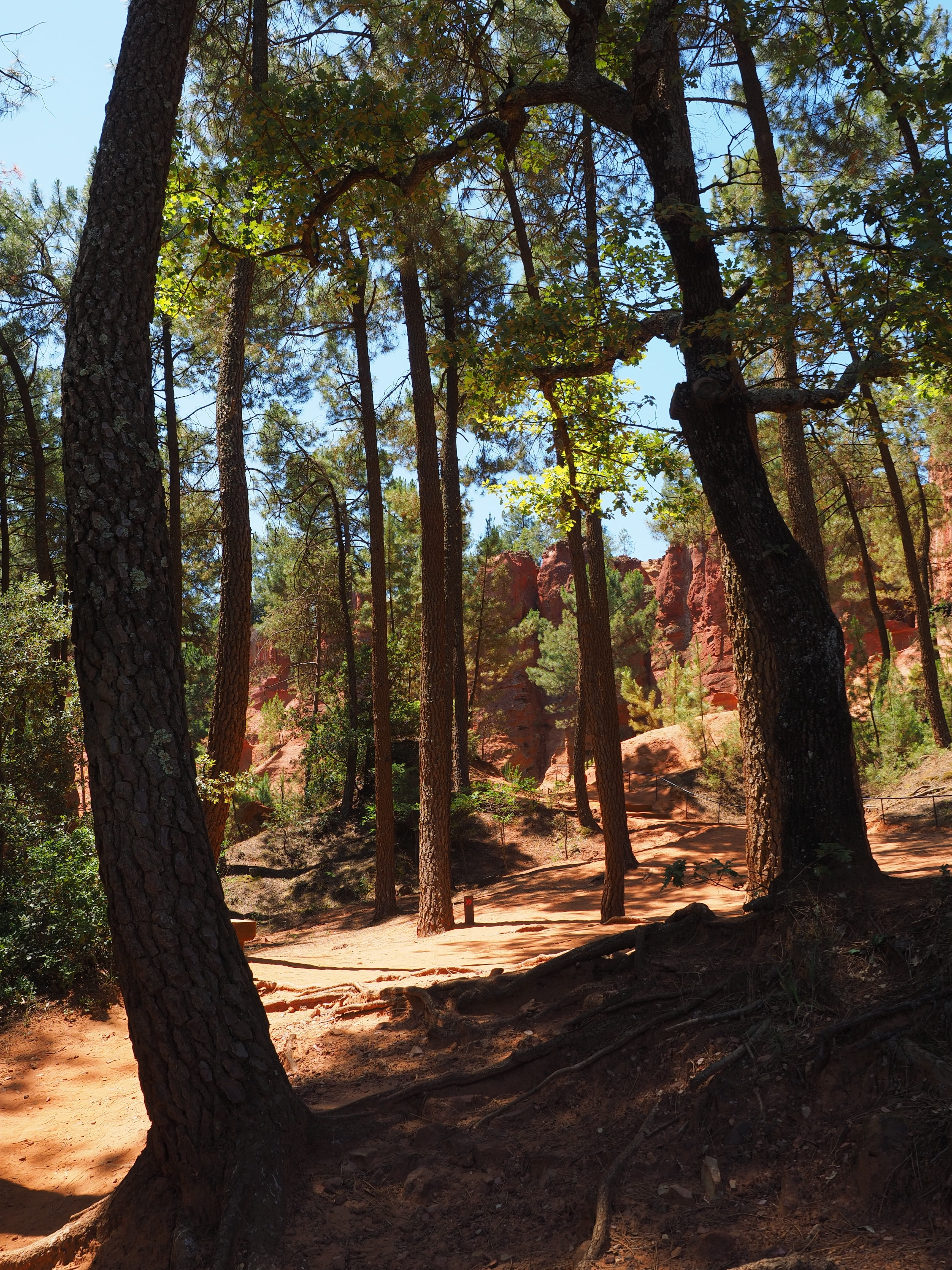 tranquility, ochre colours, ocher mining, day, canton apt, beauty in nature, red ocher, orange, sunlight, chaussee of geants, branch, shadow, vaucluse, Phone HD Wallpaper