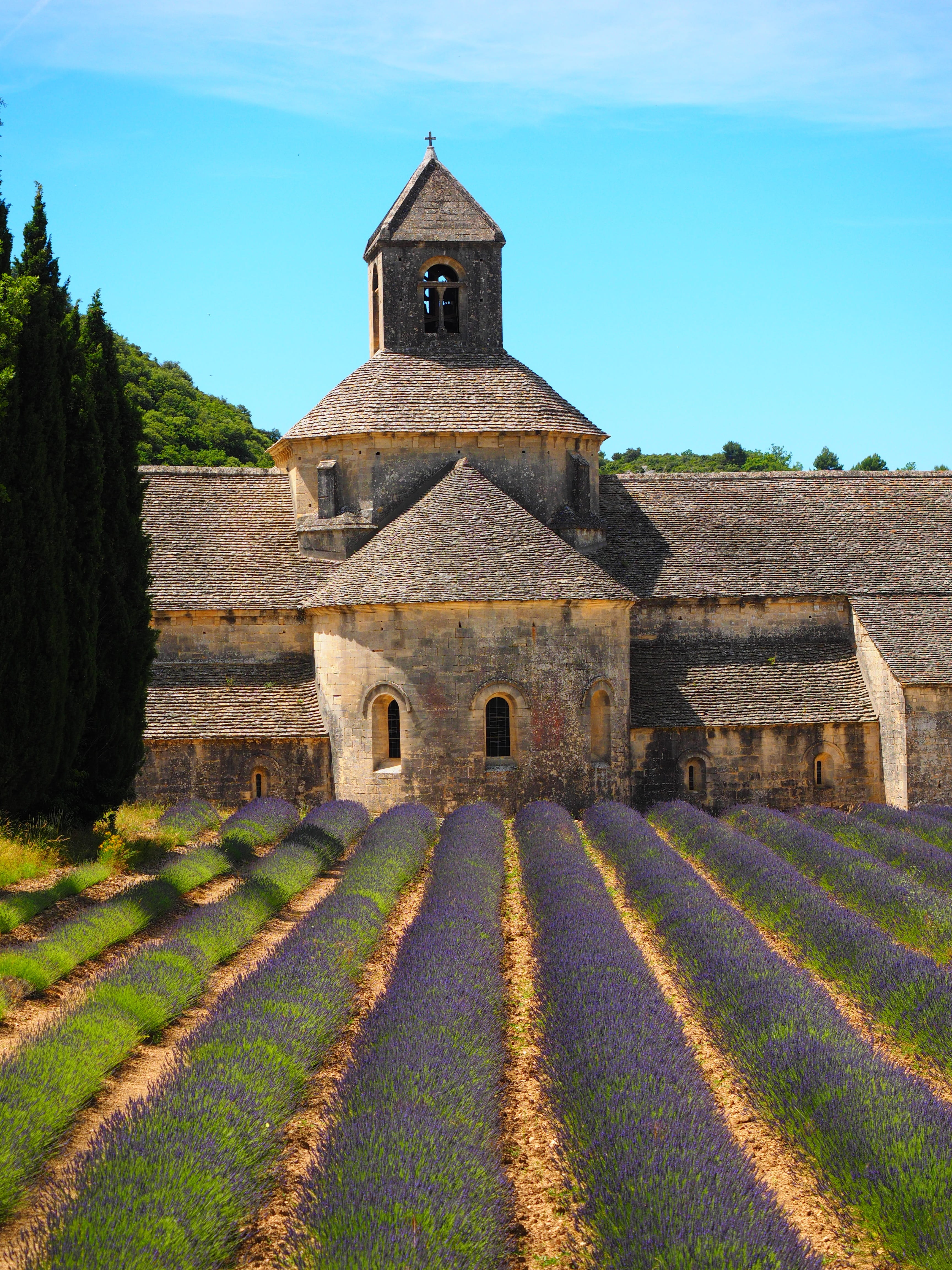 department of vaucluse, belief, gordes, outdoors, nature, the order of cistercians, summer flowers, inflorescence, place of worship, purple, building exterior, Phone HD Wallpaper