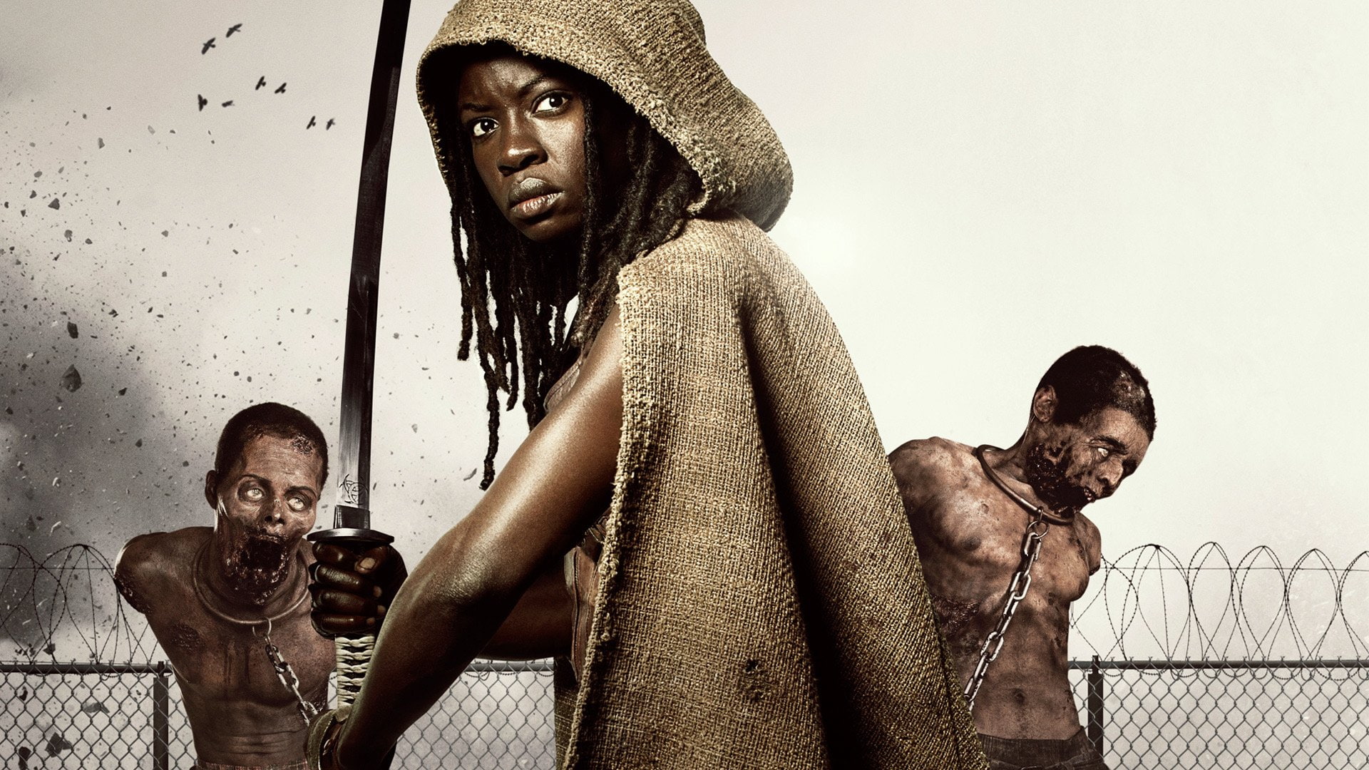 1080P, Michonne (The Walking Dead), TV Show, Danai Gurira, The Walking Dead, HD Wallpaper