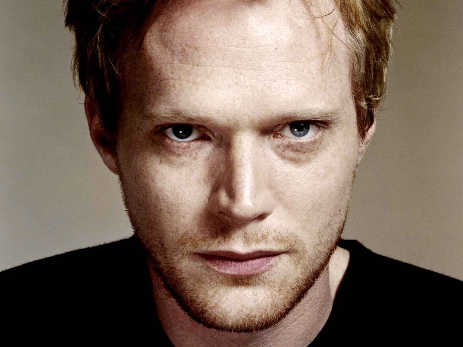 contemplation, front view, confidence, headshot, mid adult, colored background, human face, hairstyle, paul bettany, portrait, serious, top, studio shot, HD Wallpaper