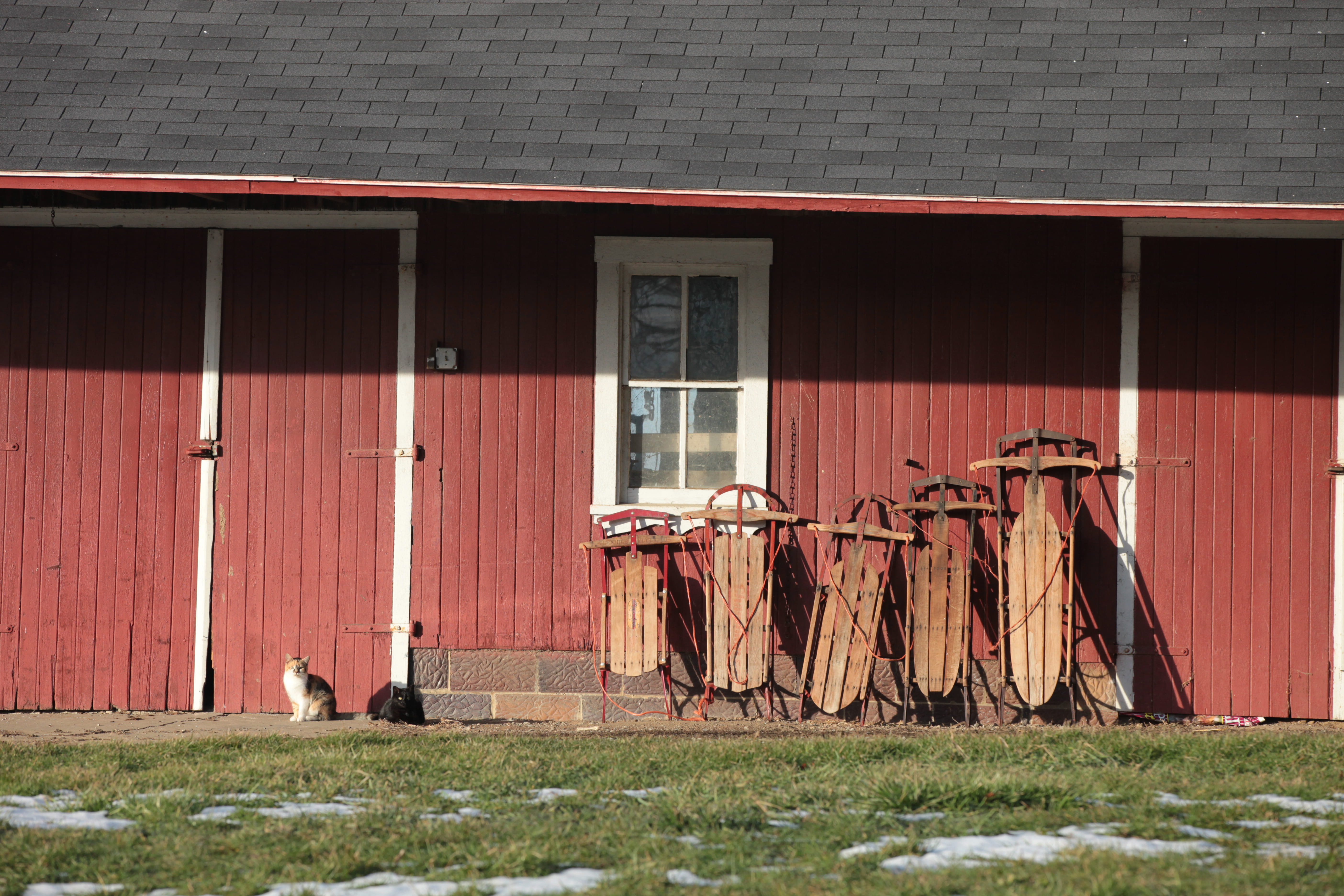 snow, hut, no people, red, building exterior, laundry, wooden, backyard, day, clothing, united states, animal, building, 5K, vertebrate, sunlight, group of animals, HD Wallpaper