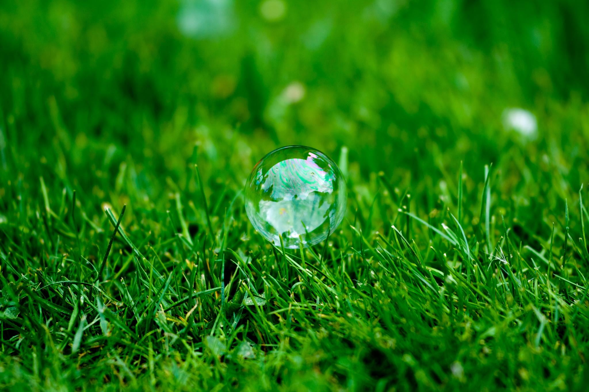 water drop, lens, drop, nature, pasture, green Color, sphere, 1080P, photo, macro lens, herbage, soap  bubble, lawn, grass, water, environment, macro, HD Wallpaper