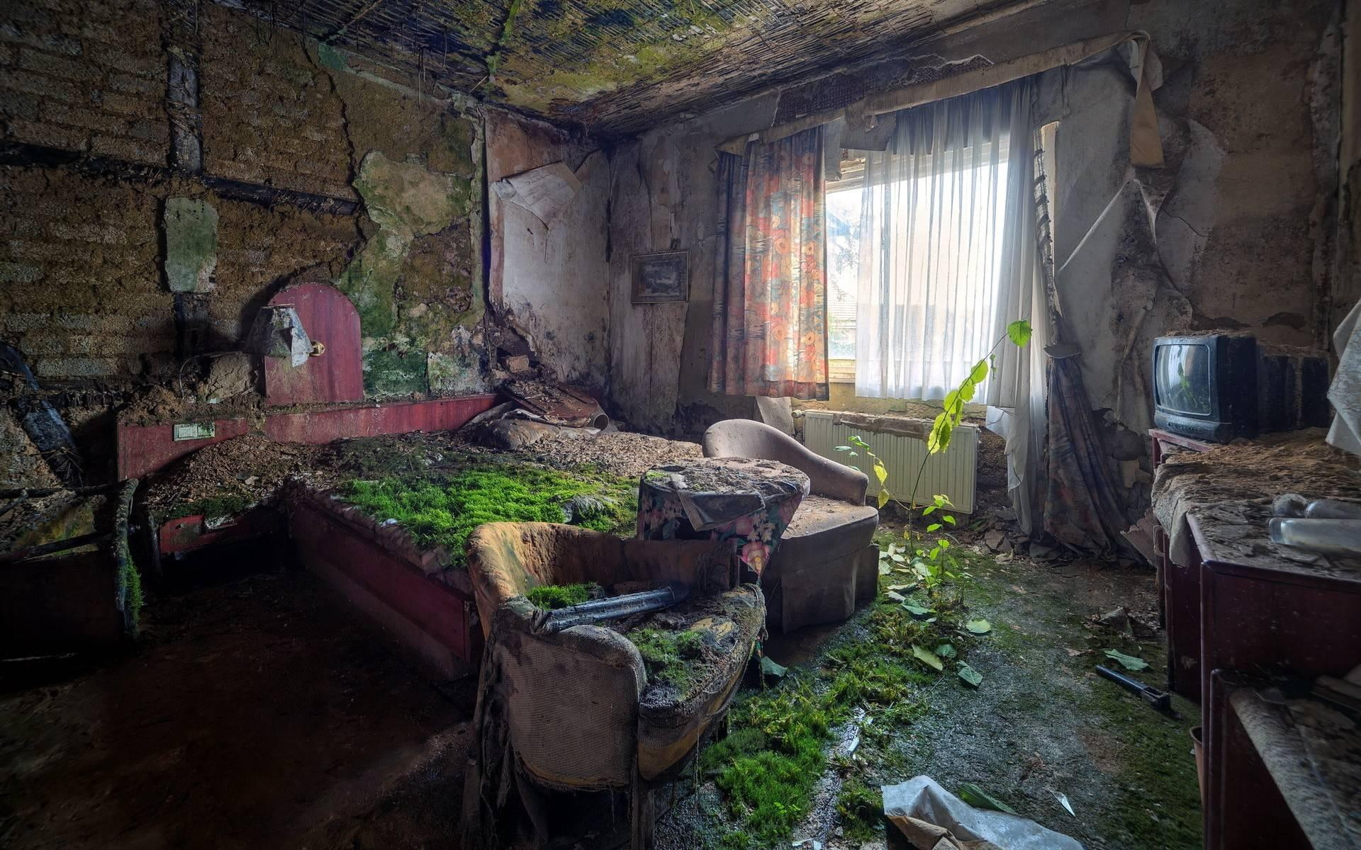 bedroom, nature, abandoned, ruins, nature and landscapes, letting, 1080P, moss, back, HD Wallpaper