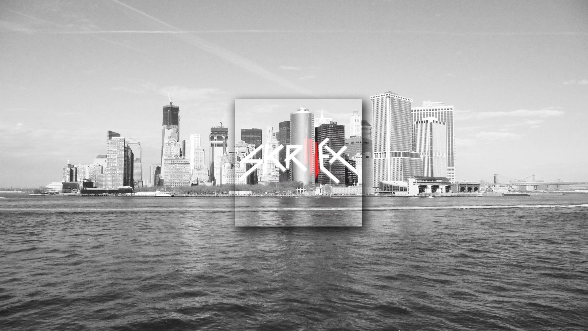 x, 1080P, entertainment, hd, art, dubstep, skrillex, Music, HD Wallpaper