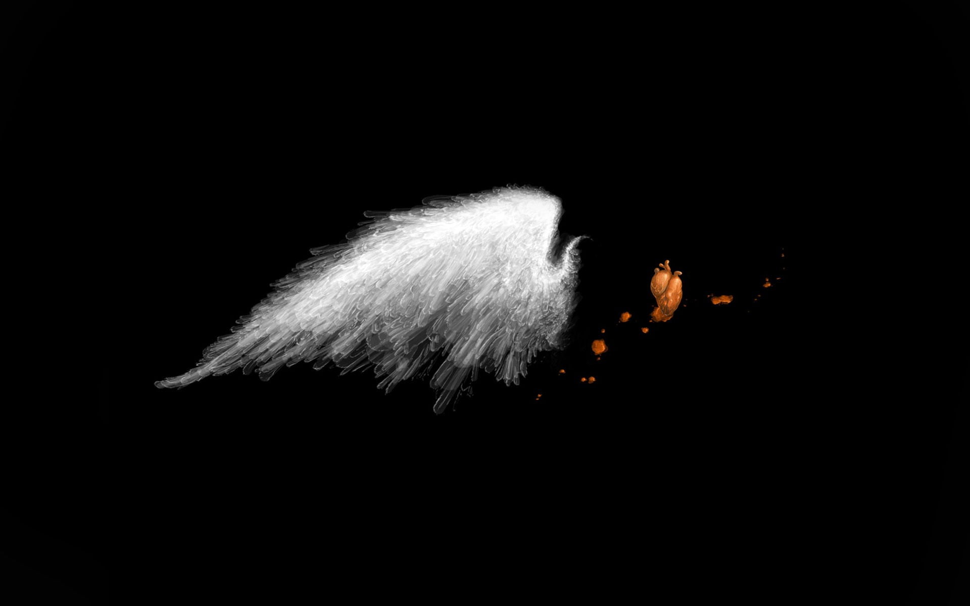 white, black background, cut out, smoke - physical structure, minimalism, 1080P, copy space, still life, softness, wings, close-up, spark, motion, white color, HD Wallpaper