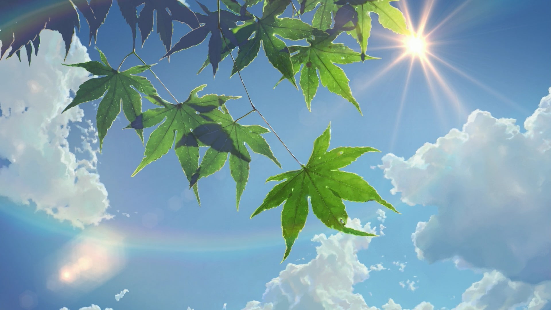brightly lit, beauty in nature, sunlight, outdoors, nature, sun, green color, tree, summer, blue, sky, lens flare, bright, no people, cloud - sky, leaf, HD Wallpaper