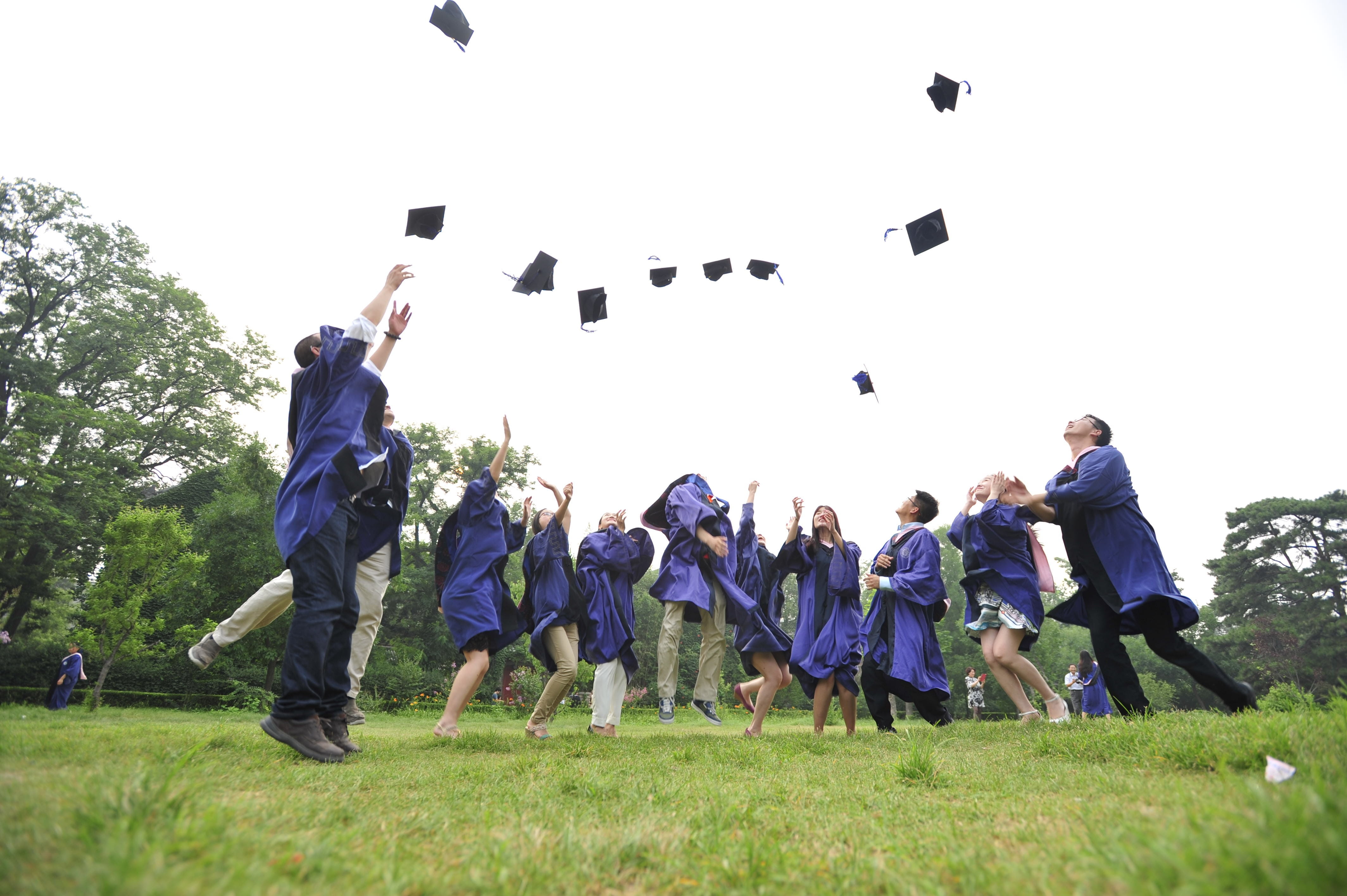 plant, academic cap, field, green, nature, day, purple, wearing, air, group of people, pre-adolescent child, people, lifestyles, real people, dr, large group of people, HD Wallpaper