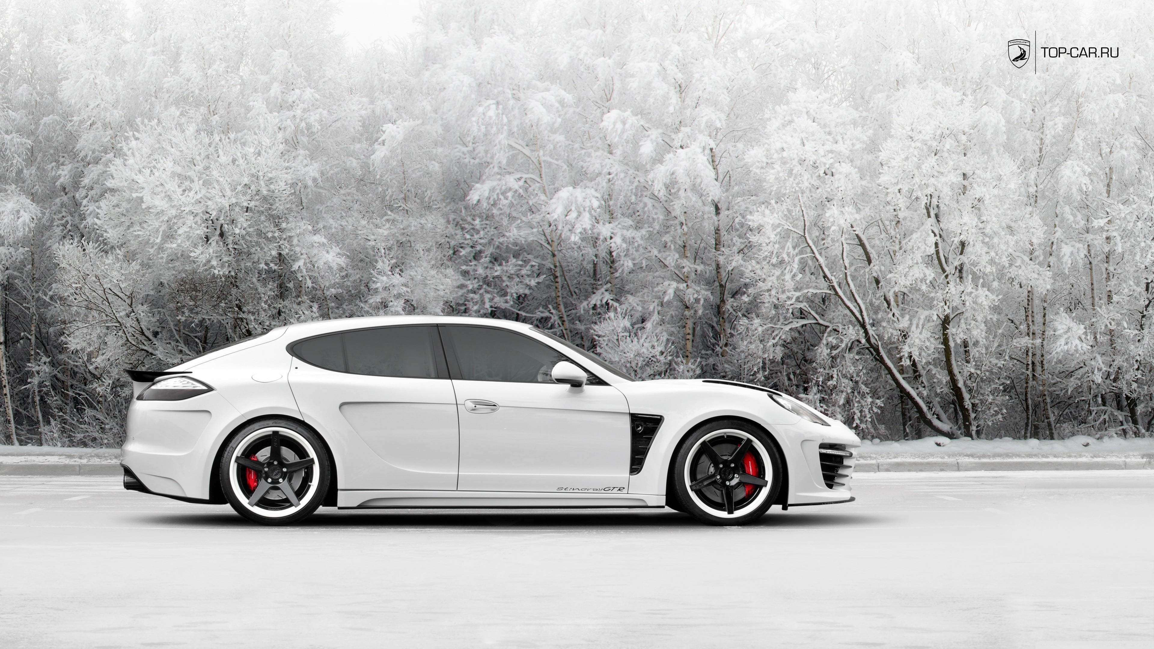 sedan, nature, retro styled, growth, white cars, luxury, transportation, road, mode of transportation, land vehicle, car, winter, Porsche, tree, cold temperature, HD Wallpaper