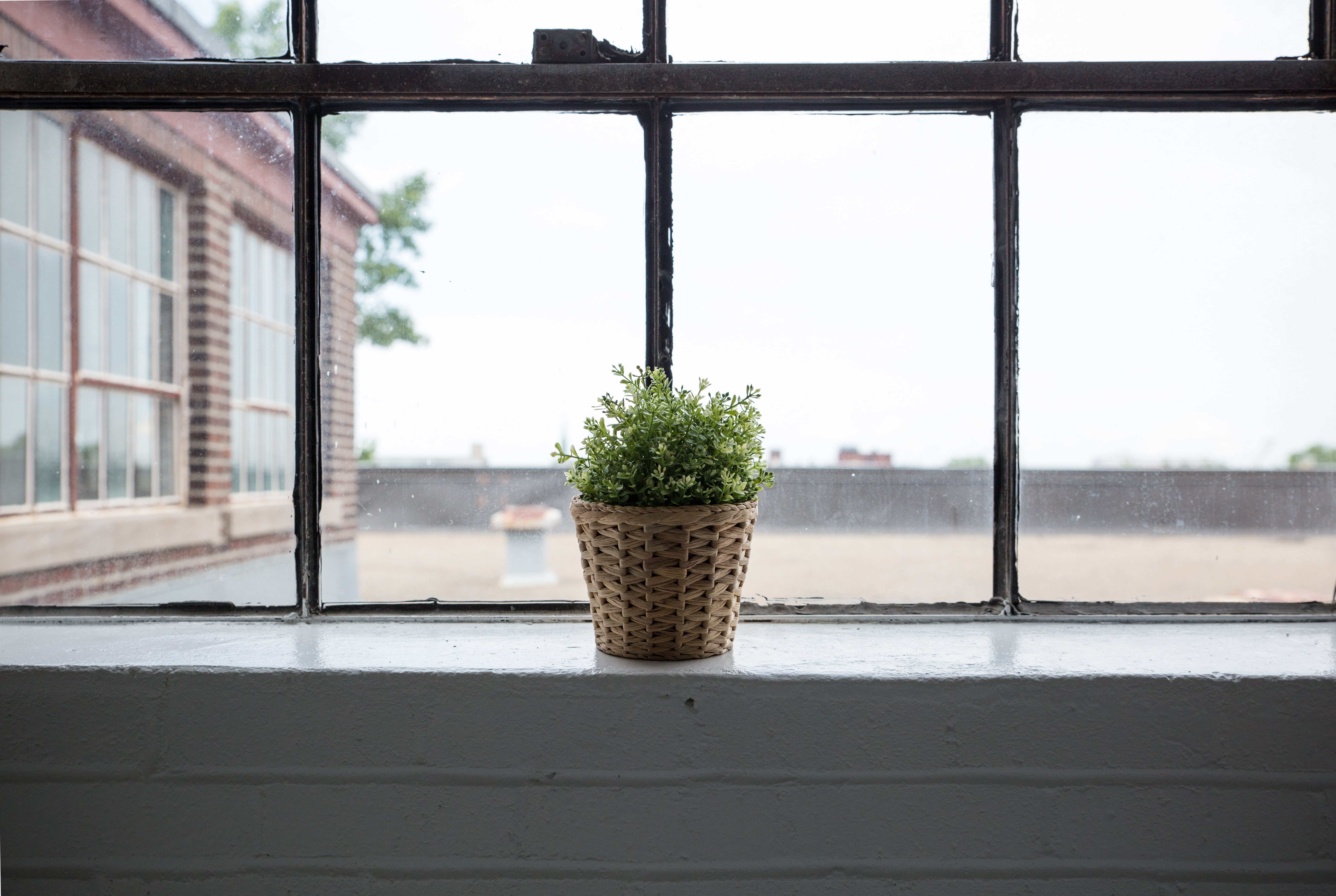 season, new, plant, travel, basket, weather, window frame, flower pot, pattern, wall - building feature, window, water, white, snow, built structure, decor, HD Wallpaper