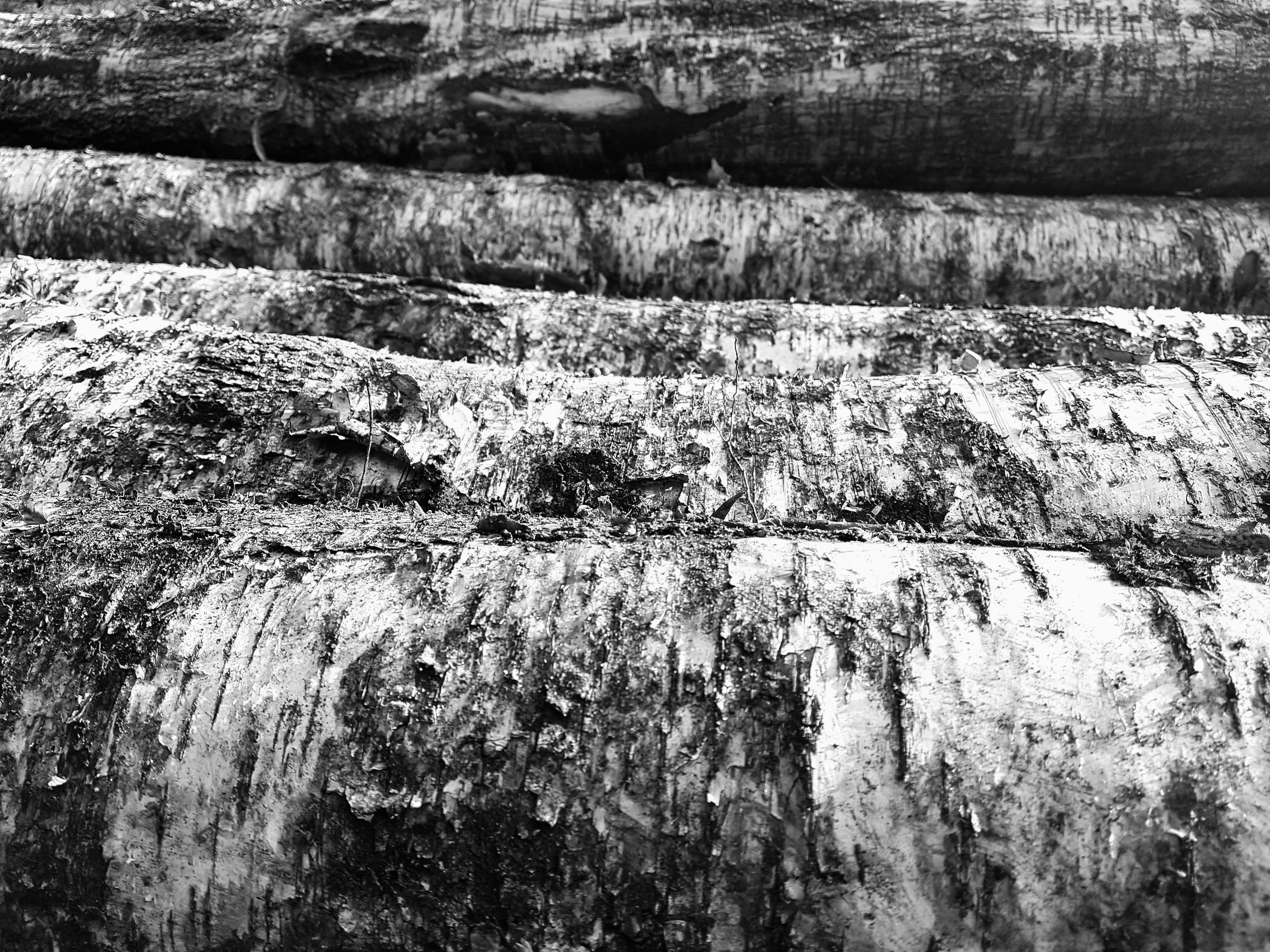 harvest, full frame, damaged, solid, dirty, backgrounds, brown, surface, silver, oak, rock - object, steel, wood - material, close-up, vertical, the structure of the, HD Wallpaper