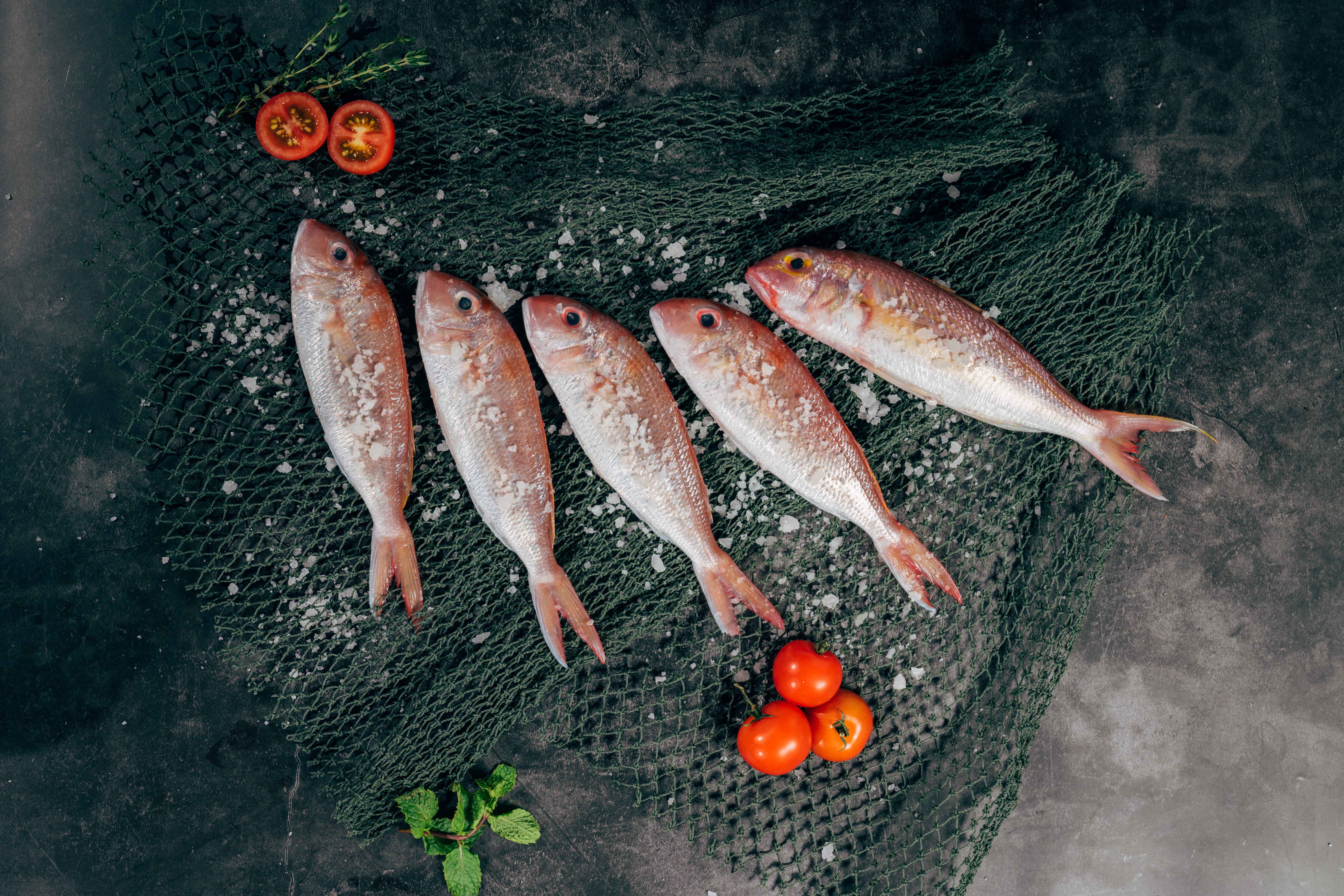salt, sliced, fish, no People, fishing Industry, meal, dinner, prepared Fish, 8K, freshness, five, food, cooking, ice, smoked, ingredients, cold - Temperature, HD Wallpaper