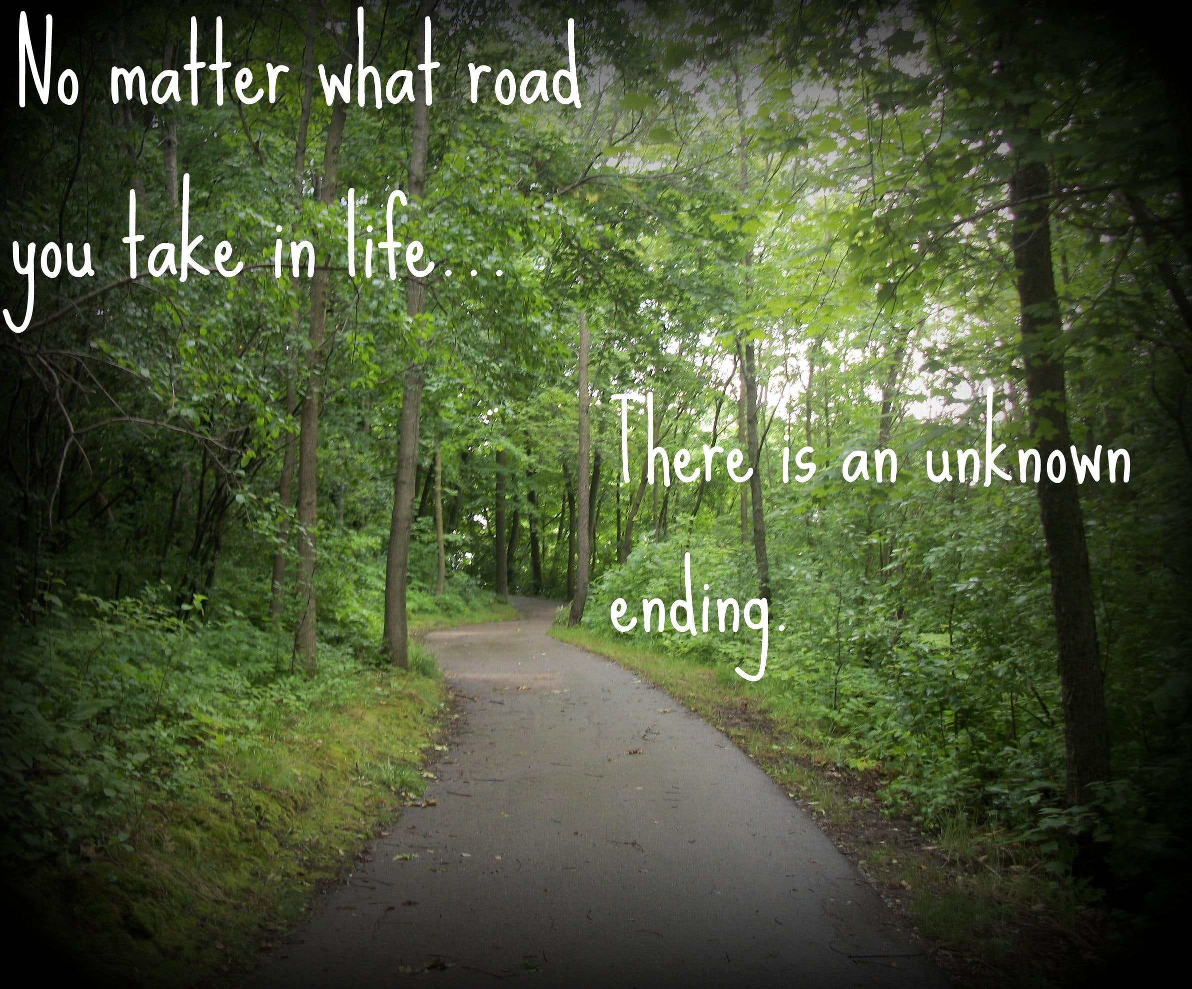 1080P, life, forest, take, matter, unknown, beautiful, nature and landscapes, nature, trees, road, ending, HD Wallpaper
