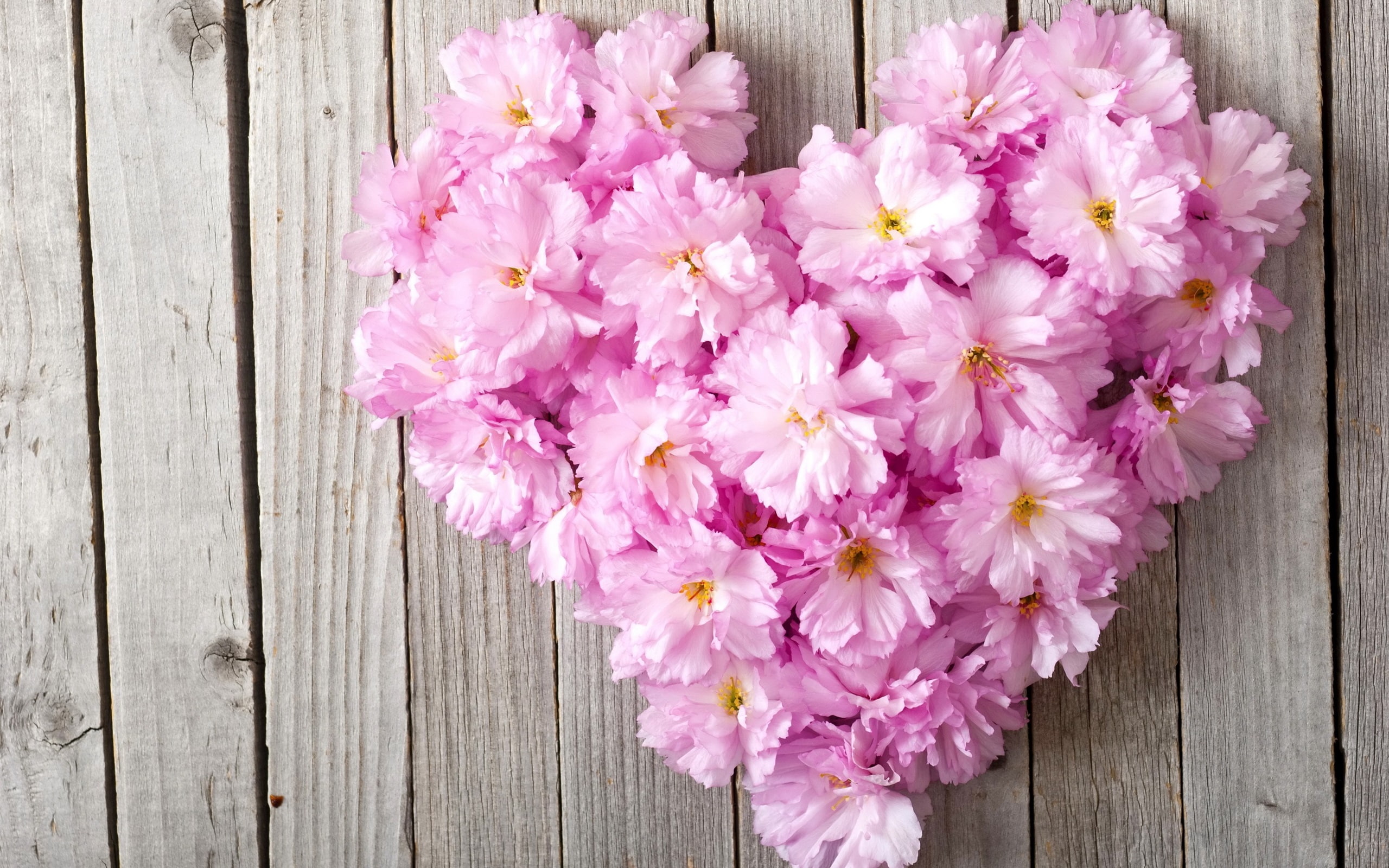 Love, Wood, 2K, Board, Heart, Flowers, Pink, HD Wallpaper