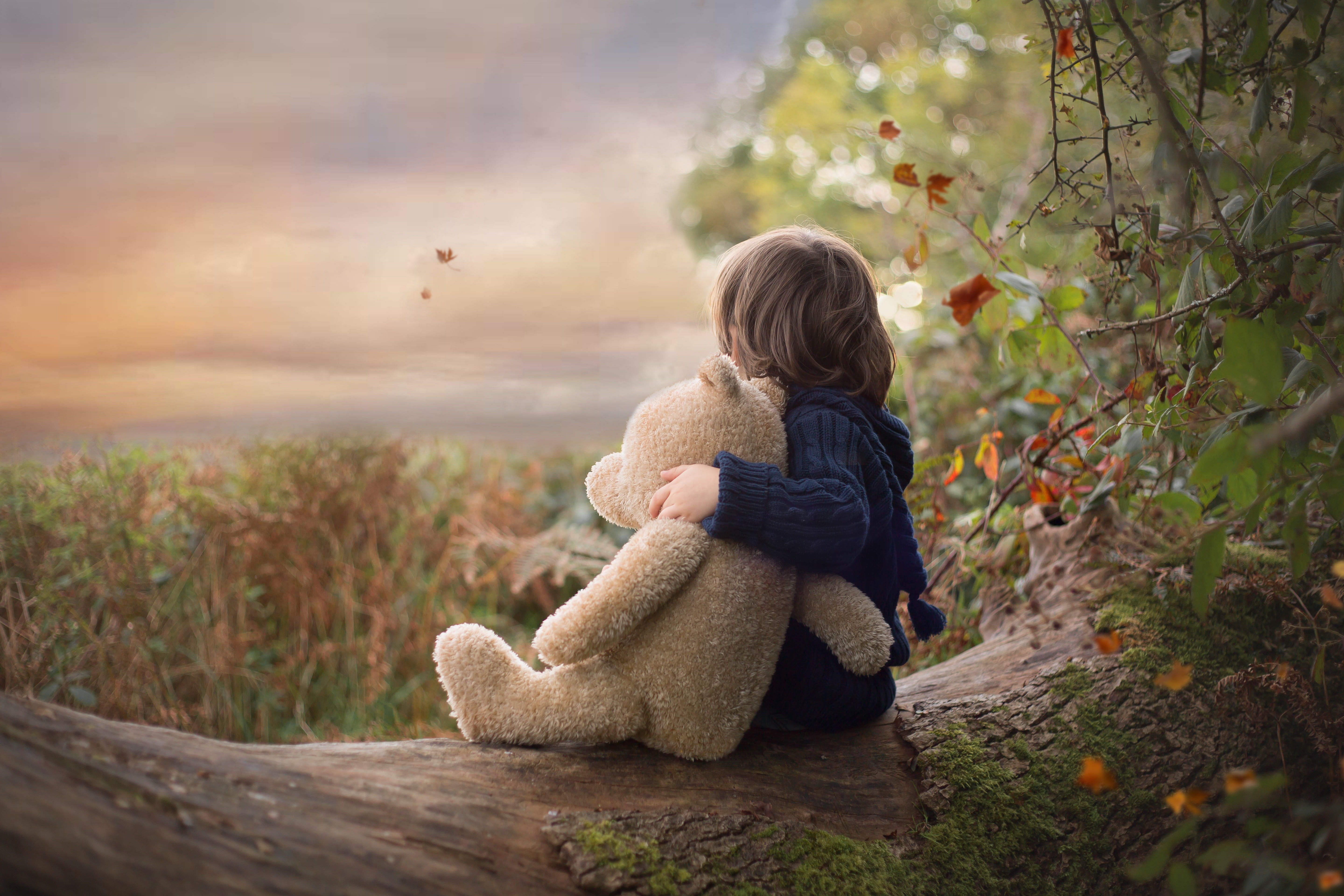 bear, boy, nature, 5K, toy, autumn, child, Teddy bear, log, HD Wallpaper
