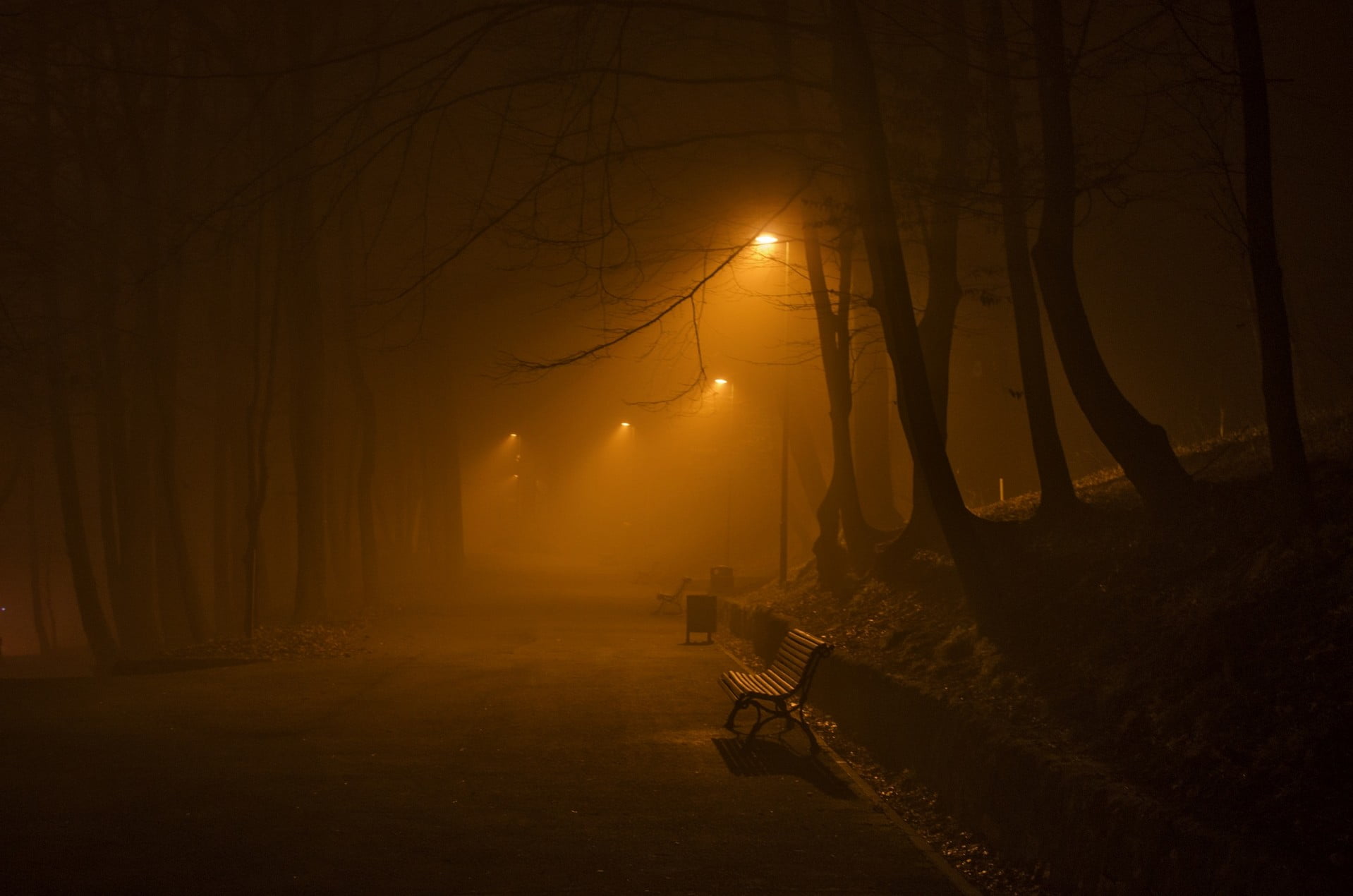 fog, illuminated, plant, 720P, bench, tree, tranquility, transportation, beauty in nature, bare tree, scenics - nature, tree trunk, forest, branch, woodland, HD Wallpaper
