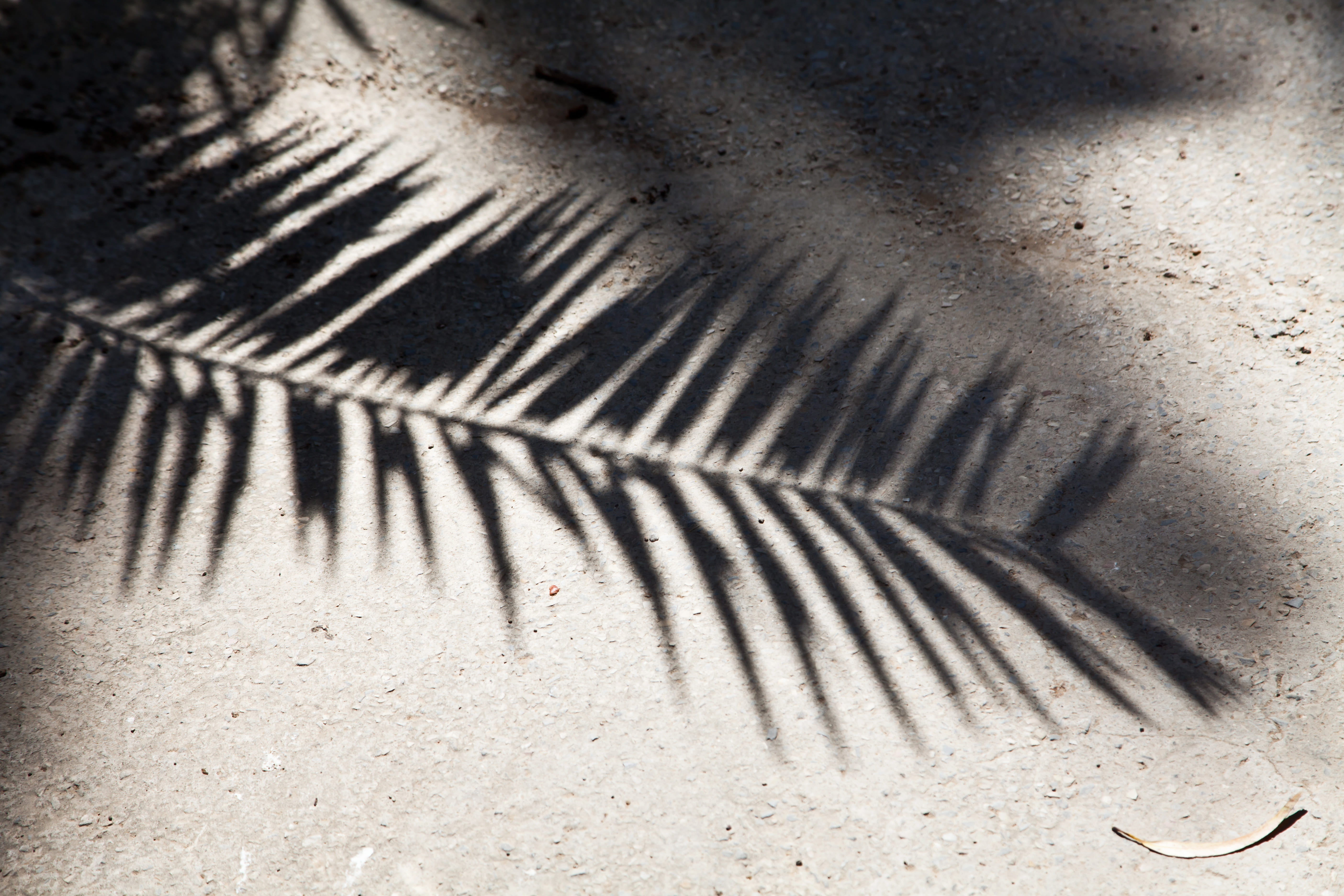 shadow, textured, sunlight, backgrounds, noth africa, 5K, metal, pattern, leaf, full frame, indoors, palma, high angle view, concrete, sea, meditterannean, HD Wallpaper
