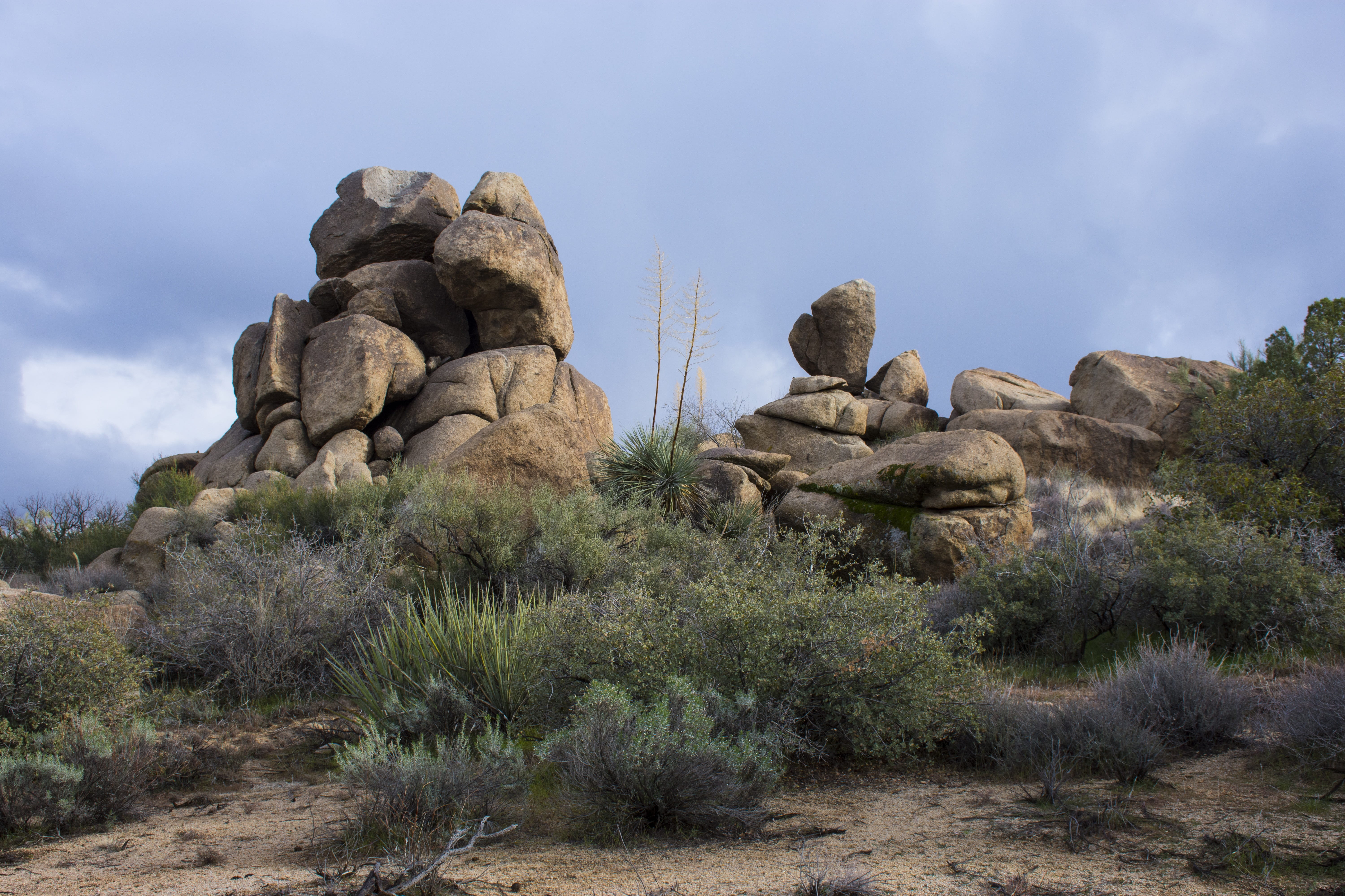 beauty in nature, Rocks, climate, ecosystem, nature, Landscape, semi-arid, solid, sky, nothing arizona, physical geography, Stones, tree, rock formation, HD Wallpaper