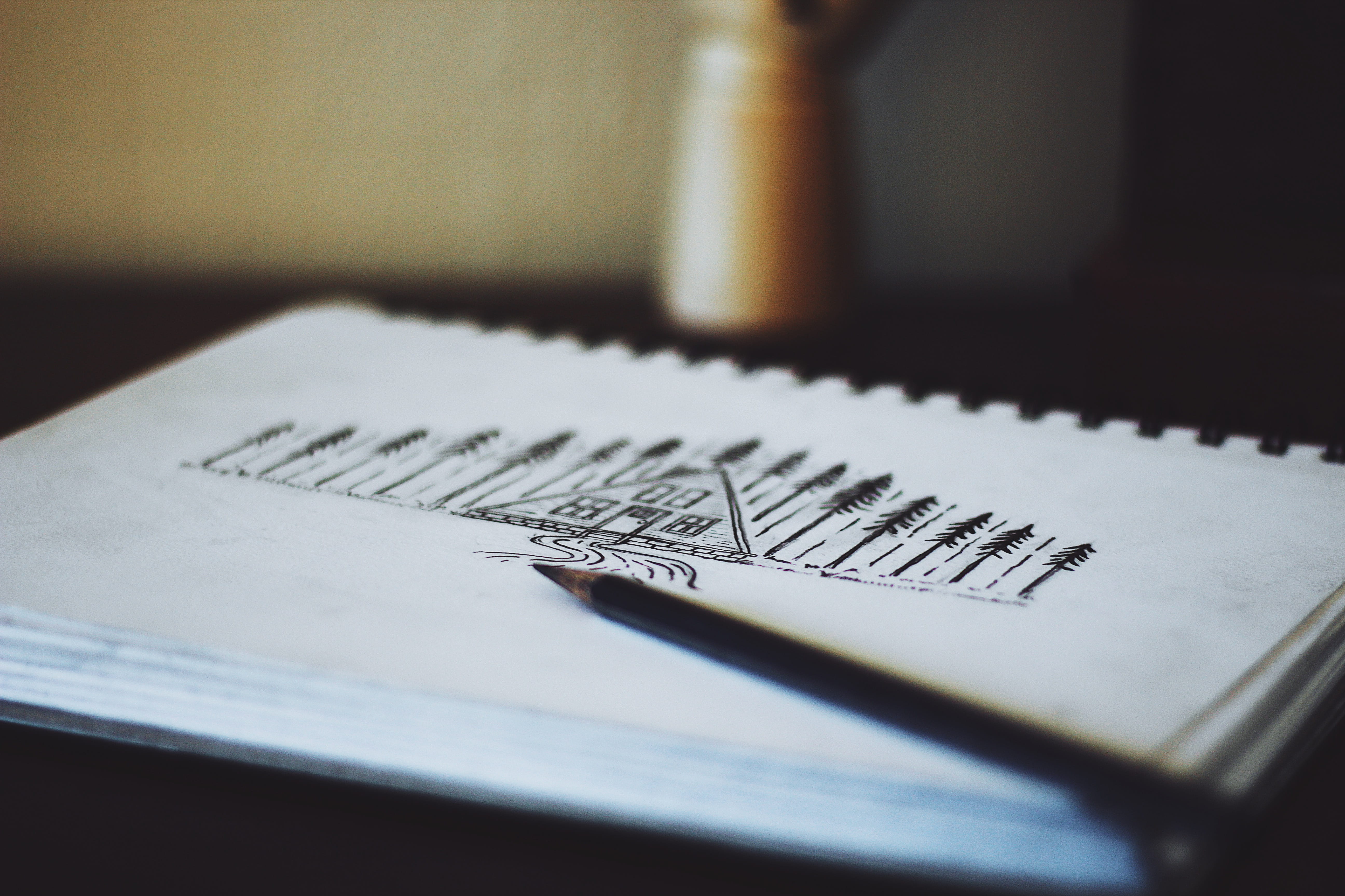 focus, handwriting, autograph, two objects, pen, indoors, desk, page, pencil, id cards, pad, calendar, shallow, open, communication, finger, simplicity, HD Wallpaper